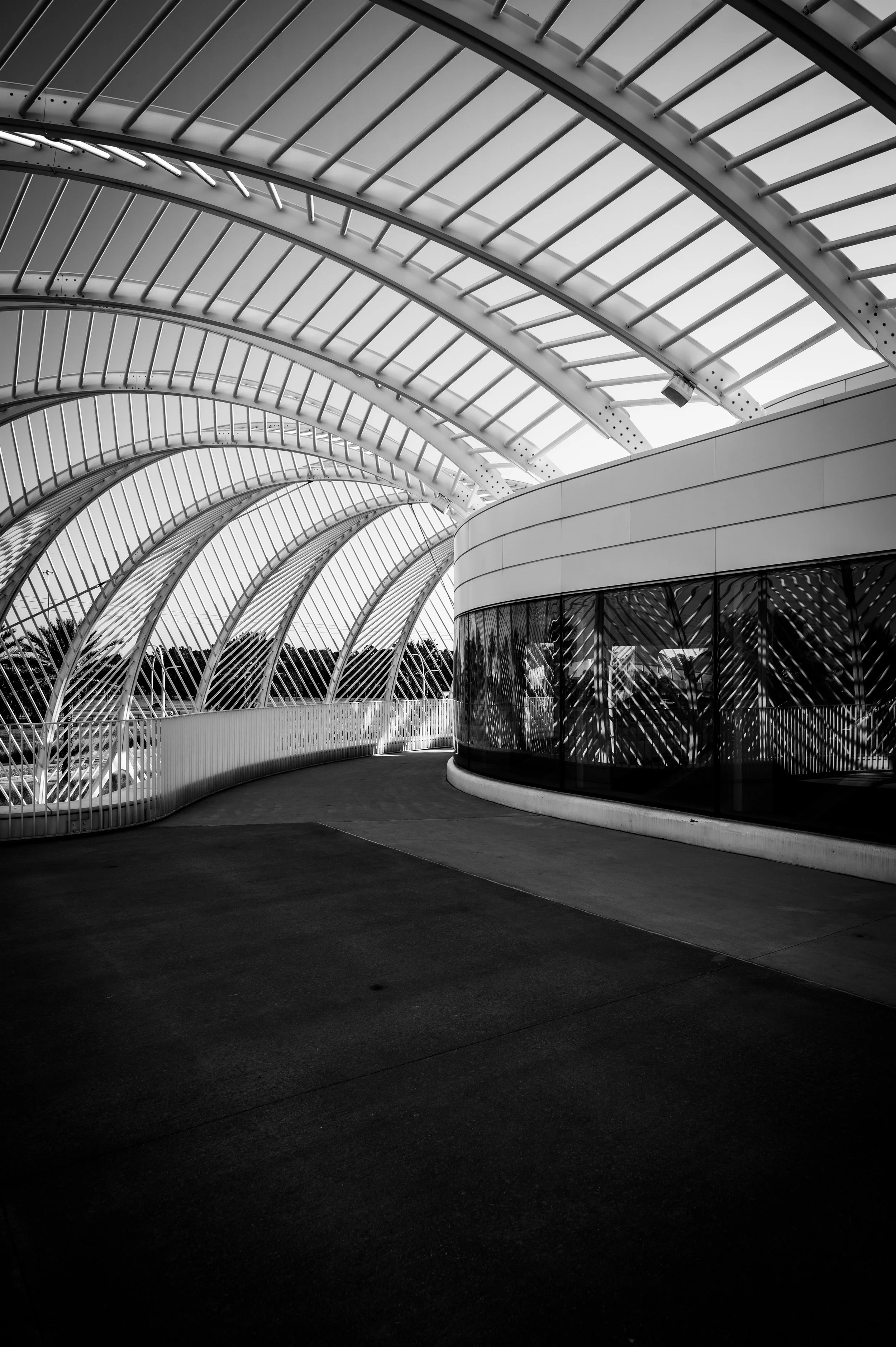 Florida Polytechnic University-14.jpg