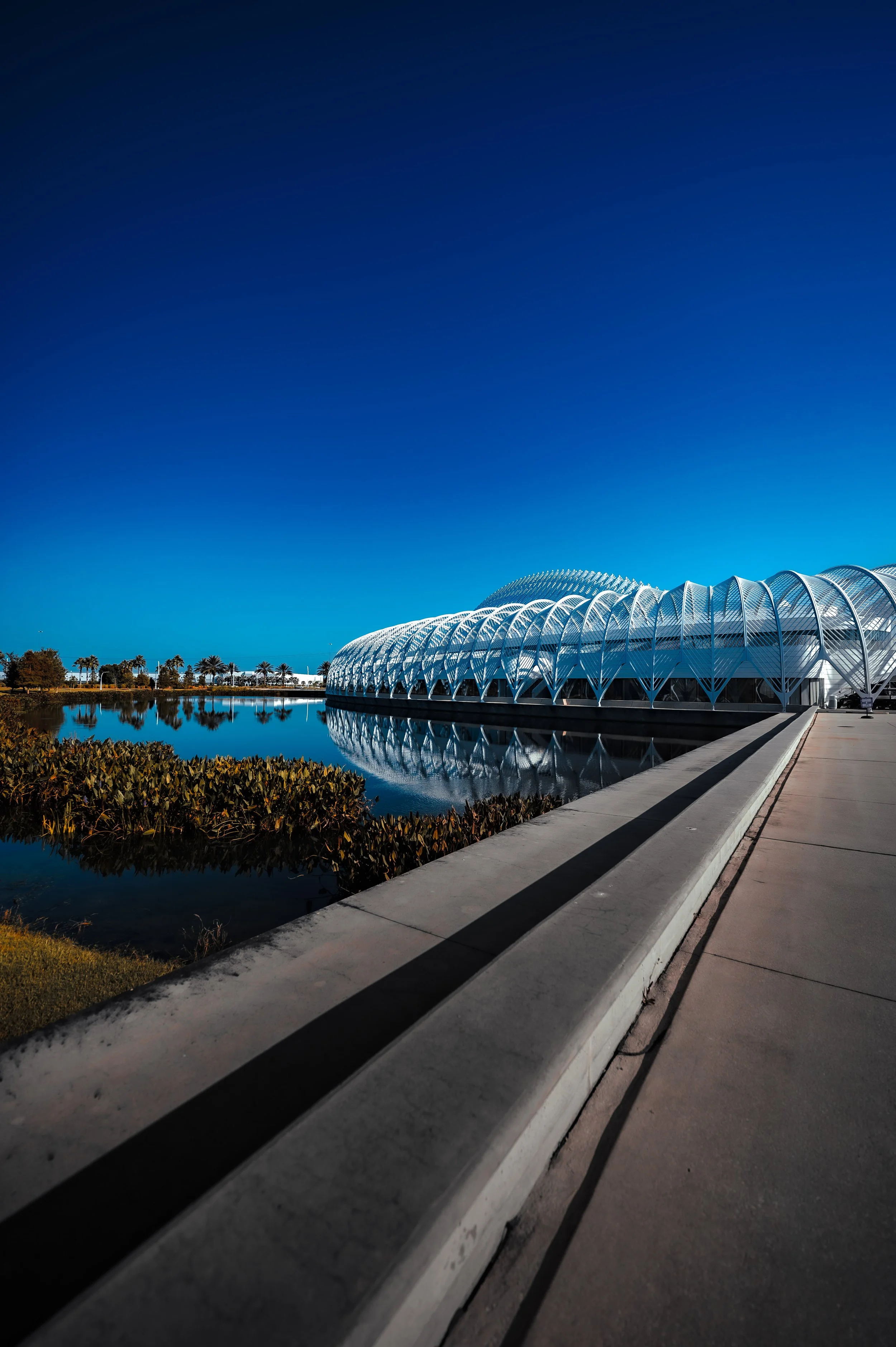 Florida Polytechnic University-22.jpg