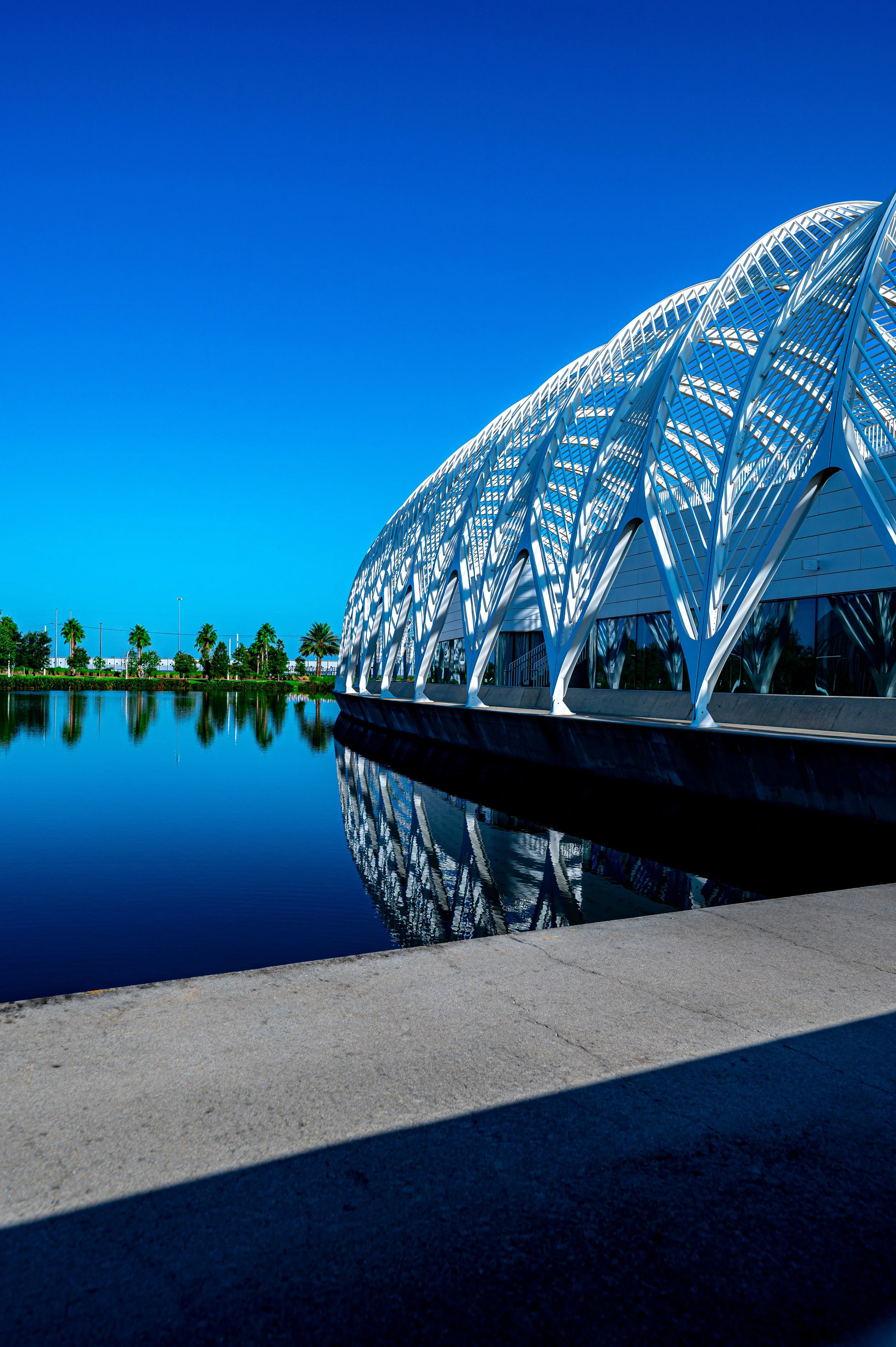 Florida Polytechnic University-9.jpg