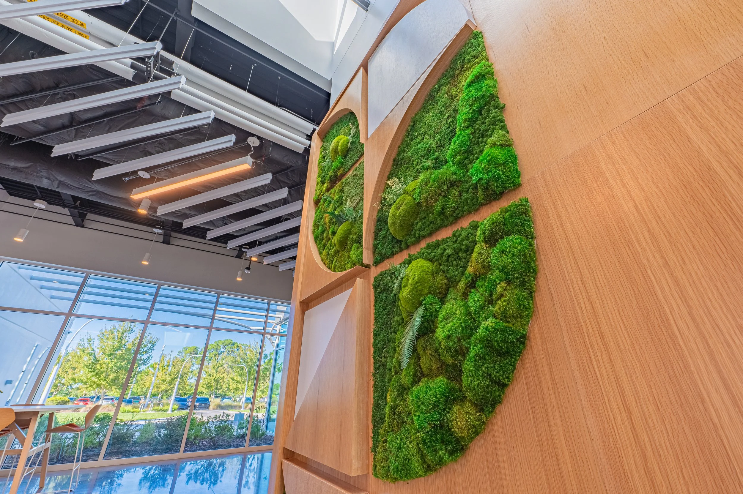 IFF Citrus Innovation Installation-20.jpg