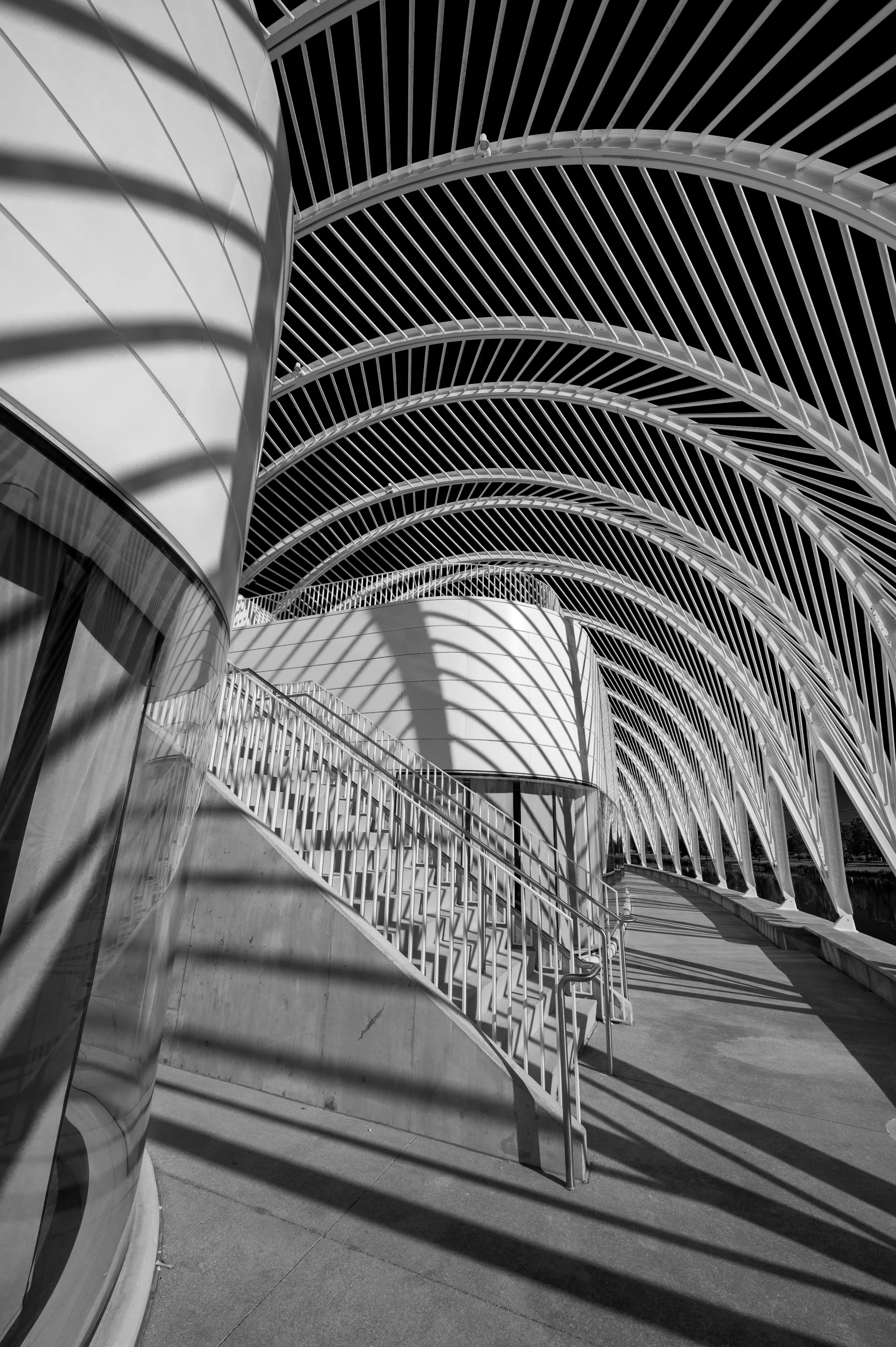 Florida Polytechnic University-11.jpg