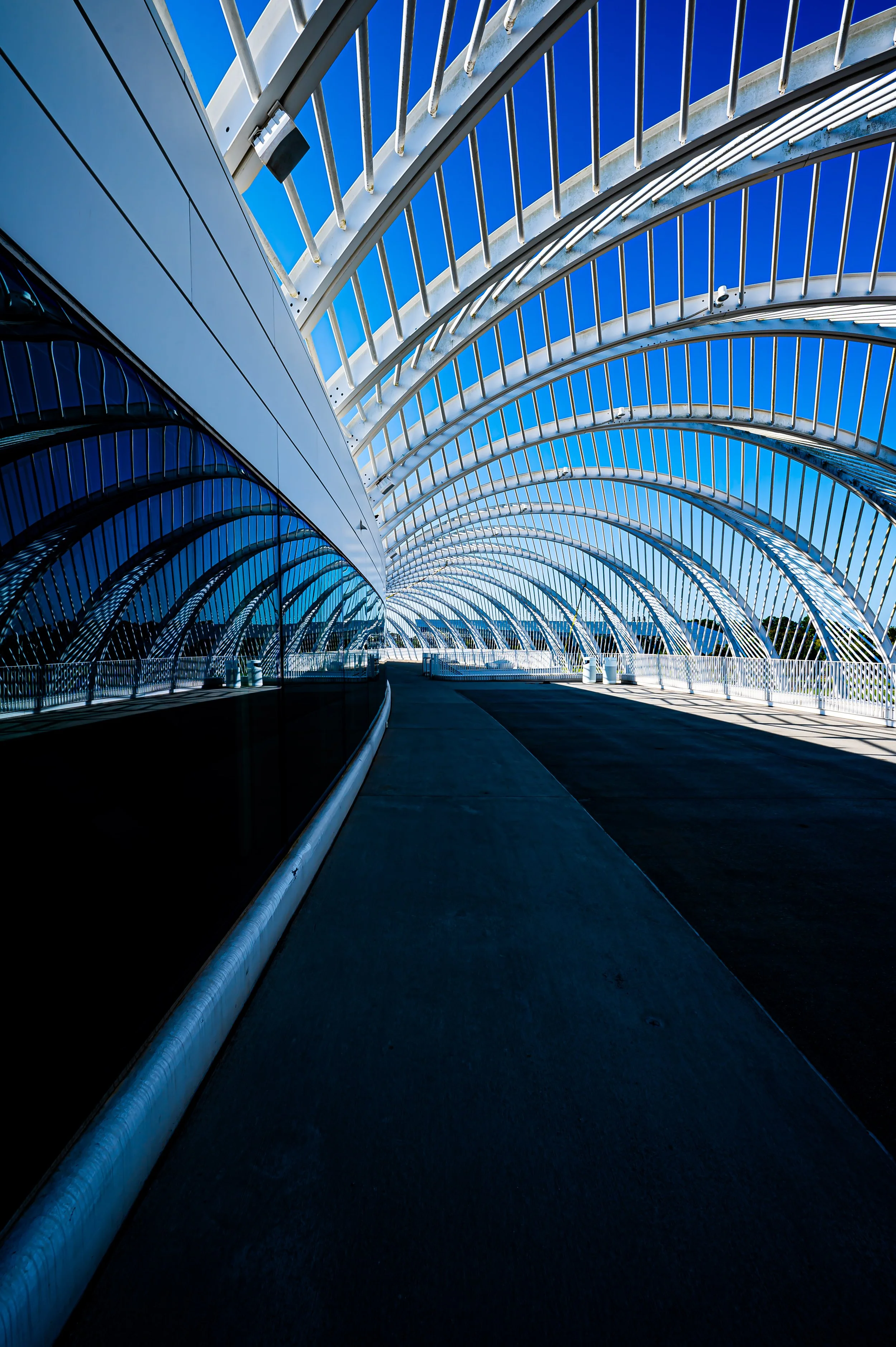Florida Polytechnic University-13.jpg