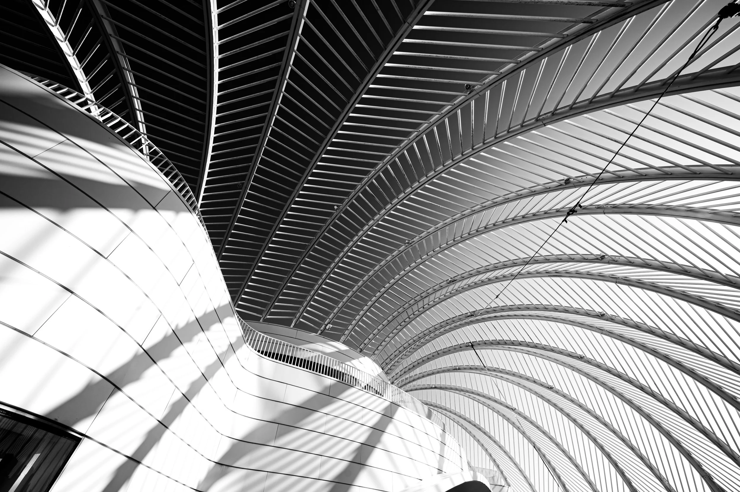 Florida Polytechnic University-10.jpg