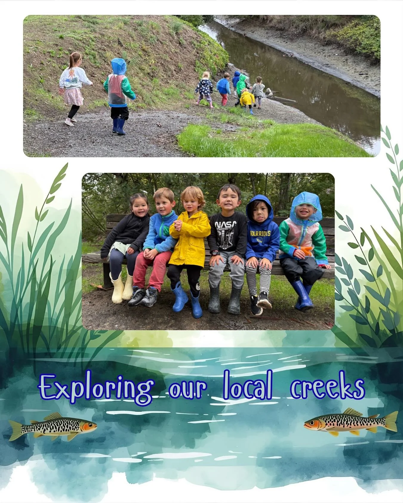Rainy days don&rsquo;t hold these kids back. The recent storms were a great opportunity for our kids to learn about our local creek ecosystem. &nbsp;&nbsp;&nbsp;&nbsp;#MarinCountyKids 
#LearningInMarin
#MarinAdventures
#OutdoorKidsMarin
#NatureKidsCA