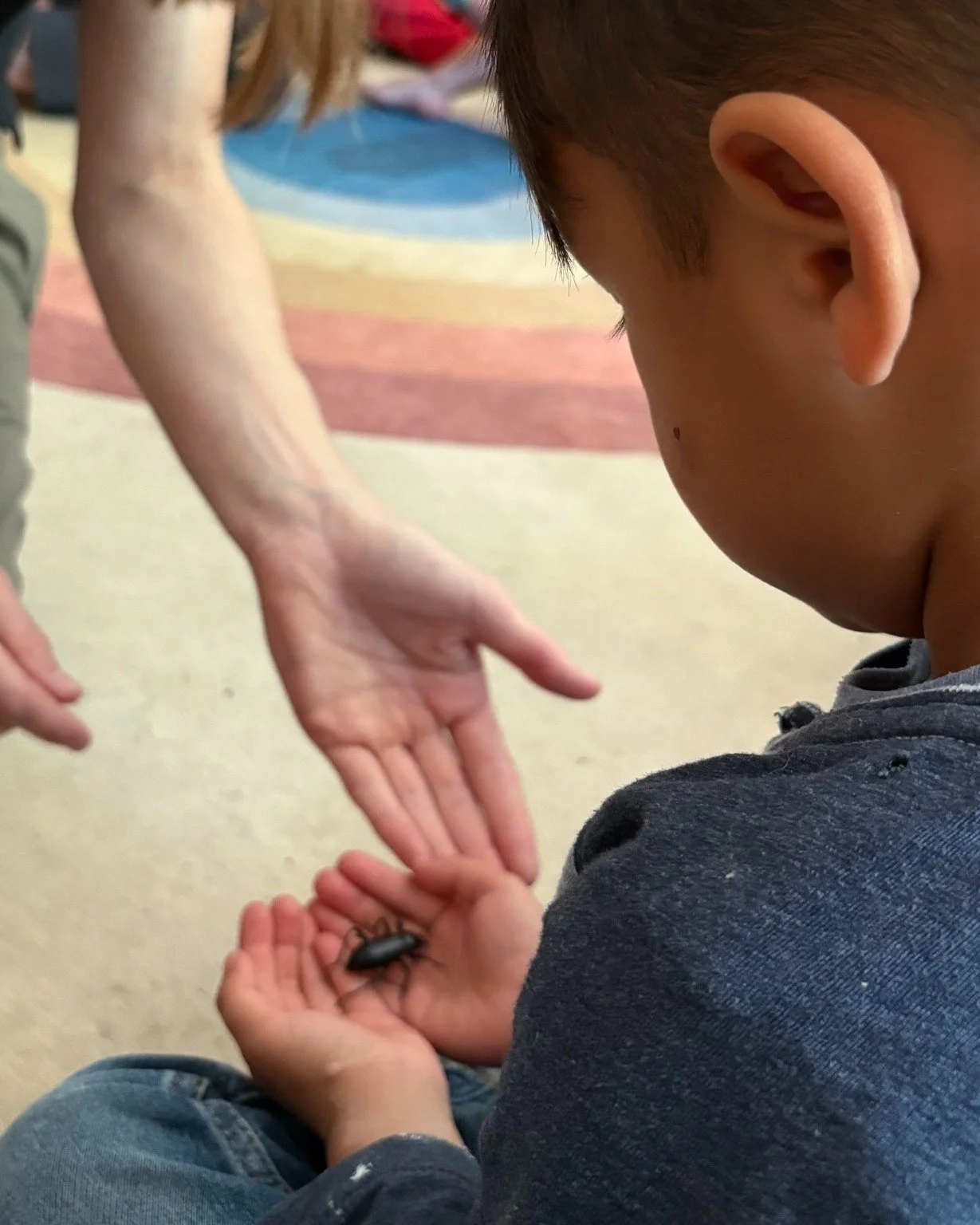 Whether we&rsquo;re exploring our school backyard for insects or discovering new species during a visit from SaveNature.org, we 💗 our 6+legged friends 🐜🐛!