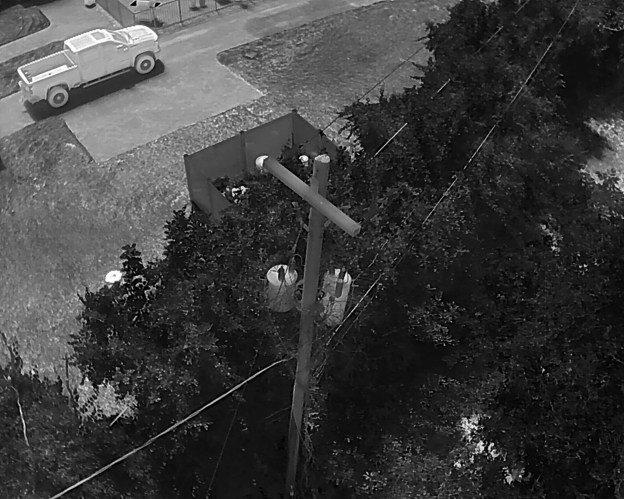 DJI_20260519114003_0053_T.JPG