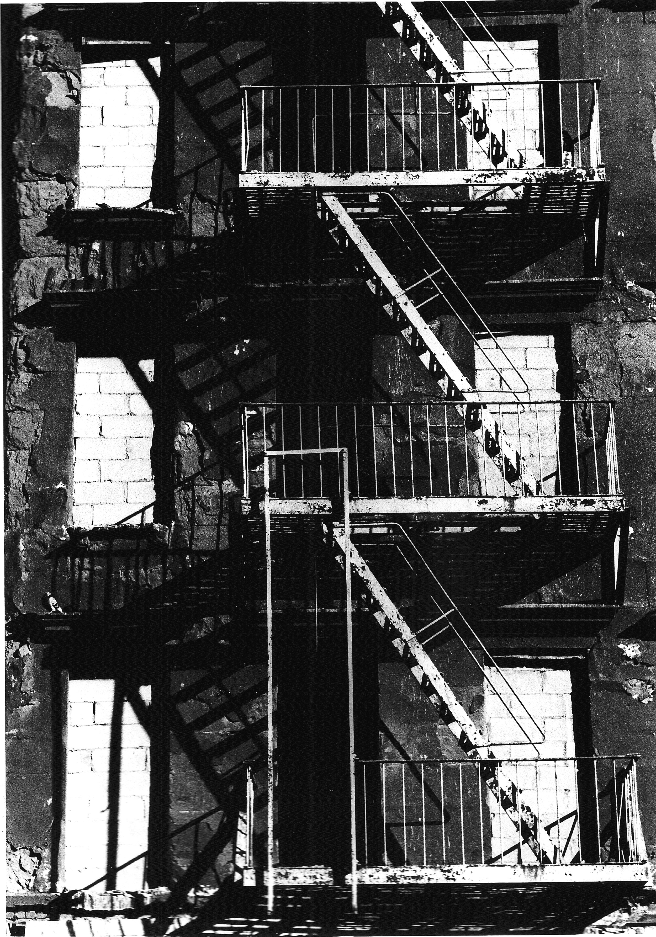 Fire+escapes+29X42.jpg