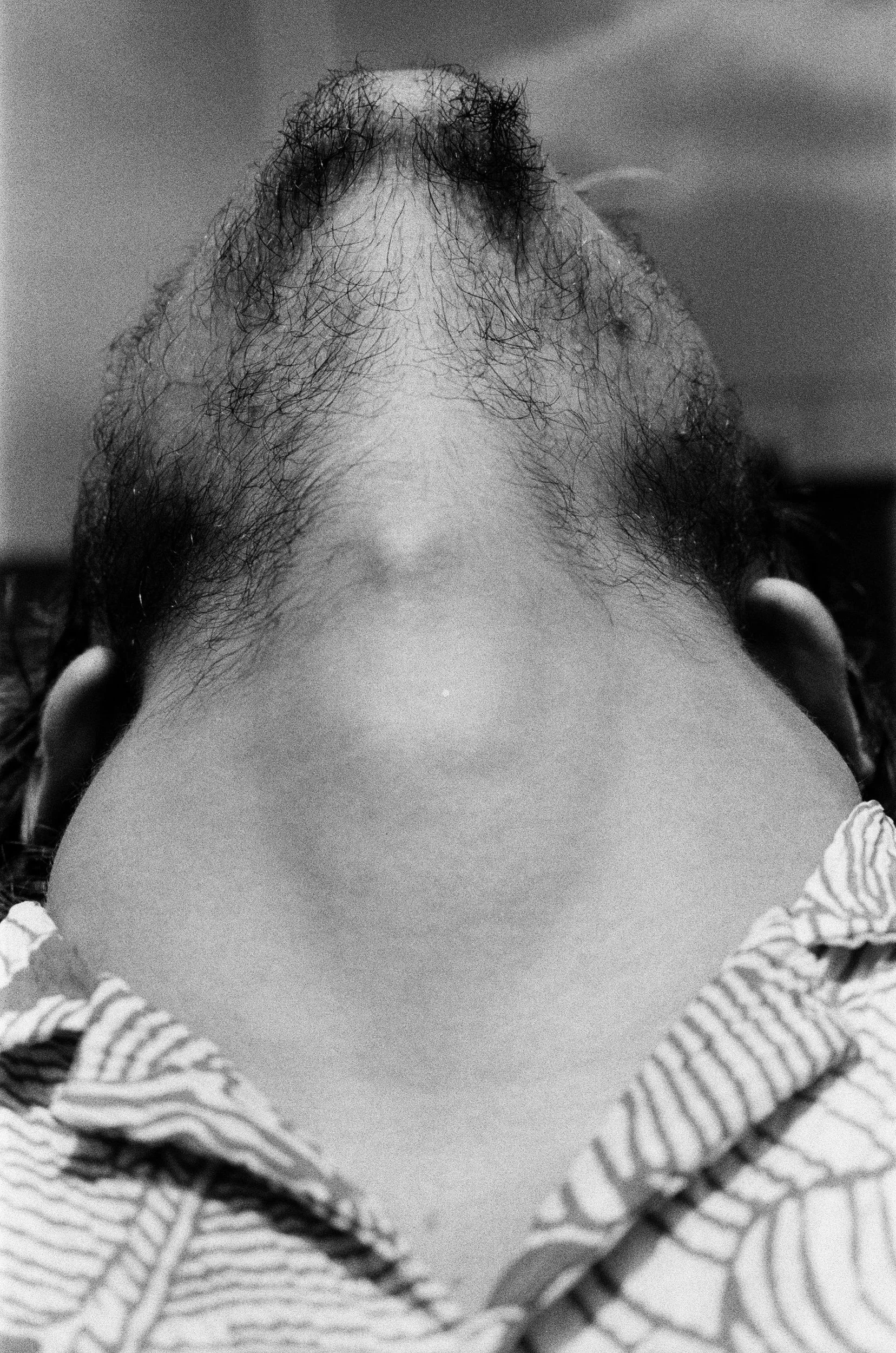 45920080.jpg