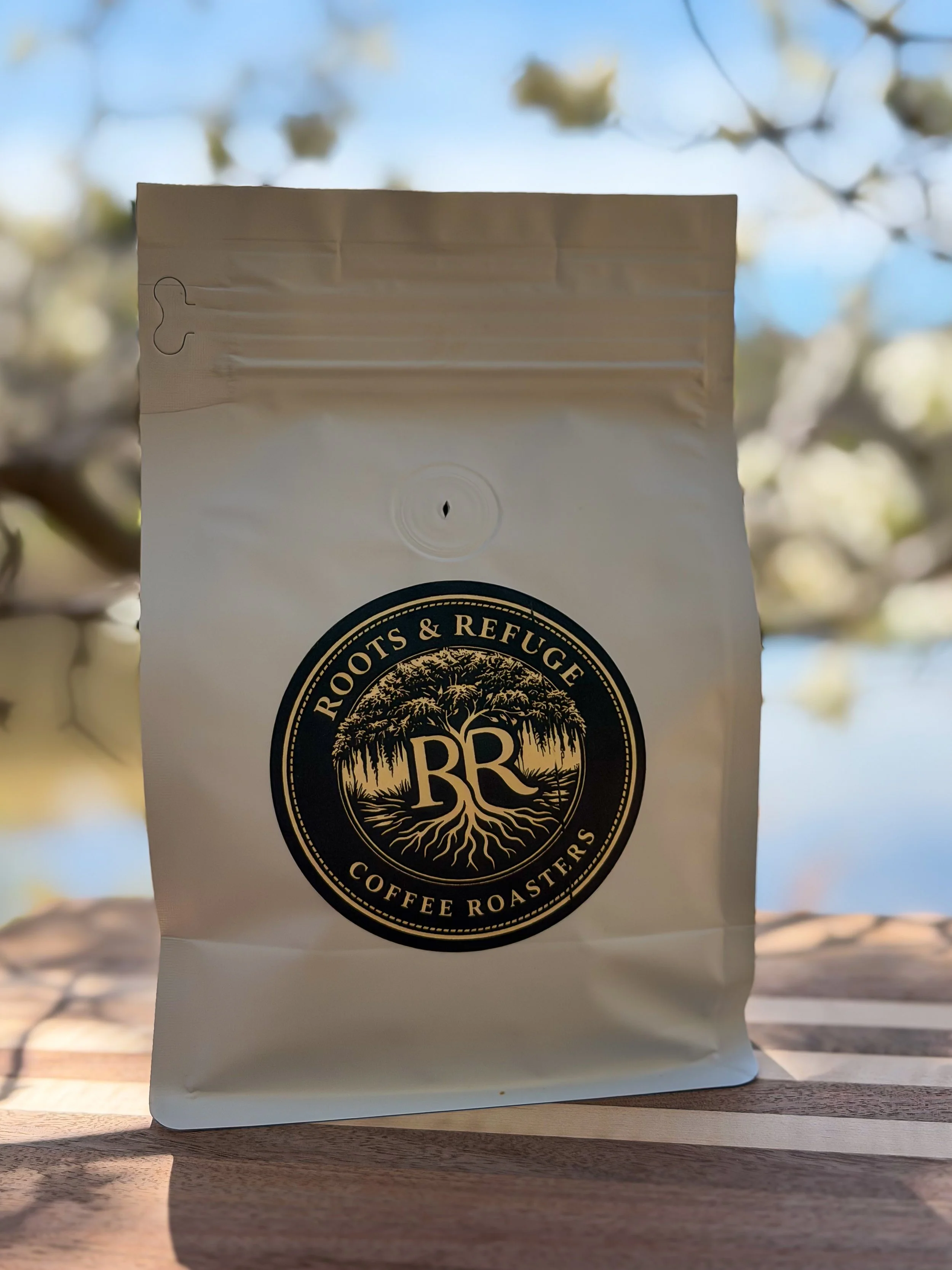 IMG_6640.jpeg (Copy)