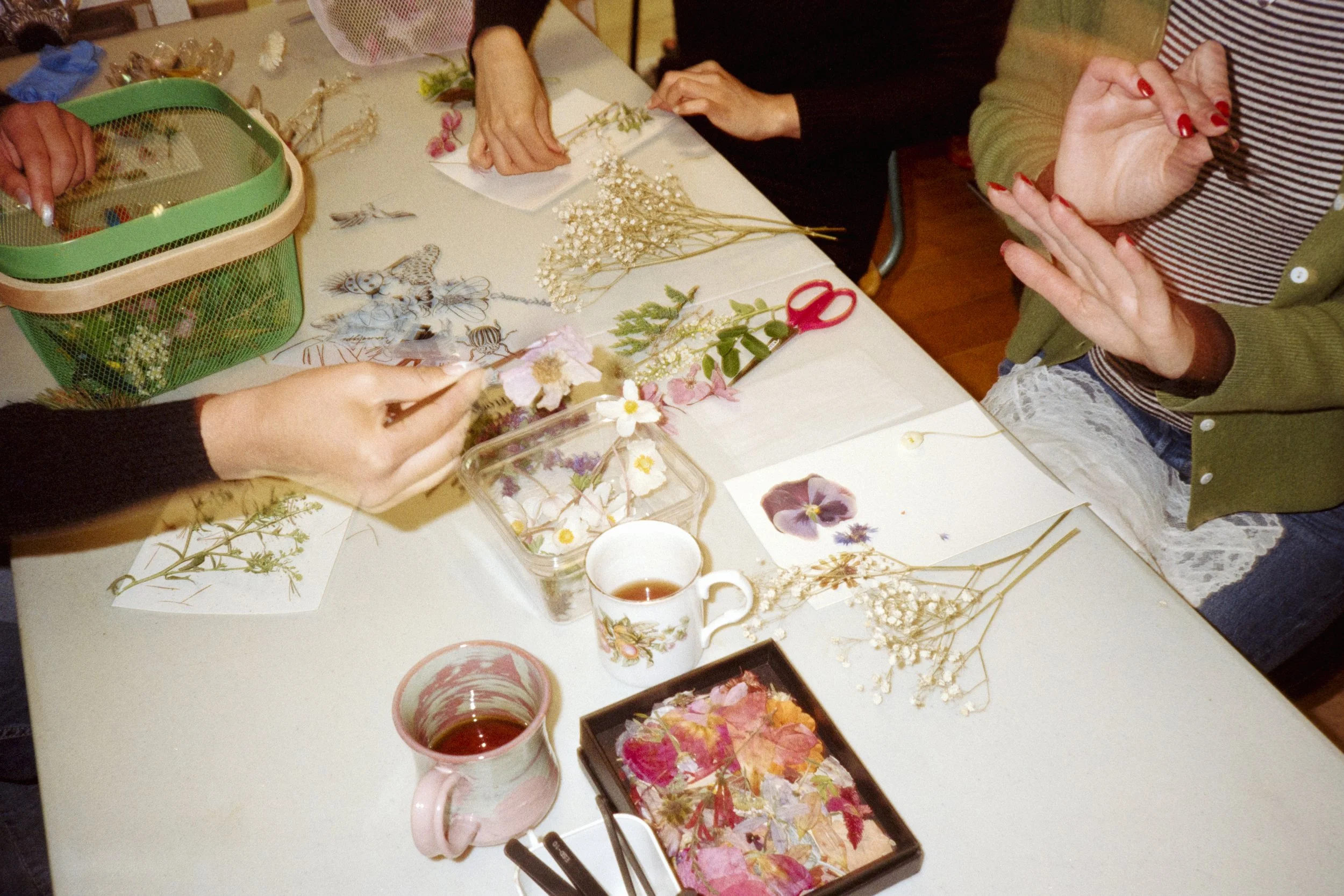 Floral Cyanotype Workshop