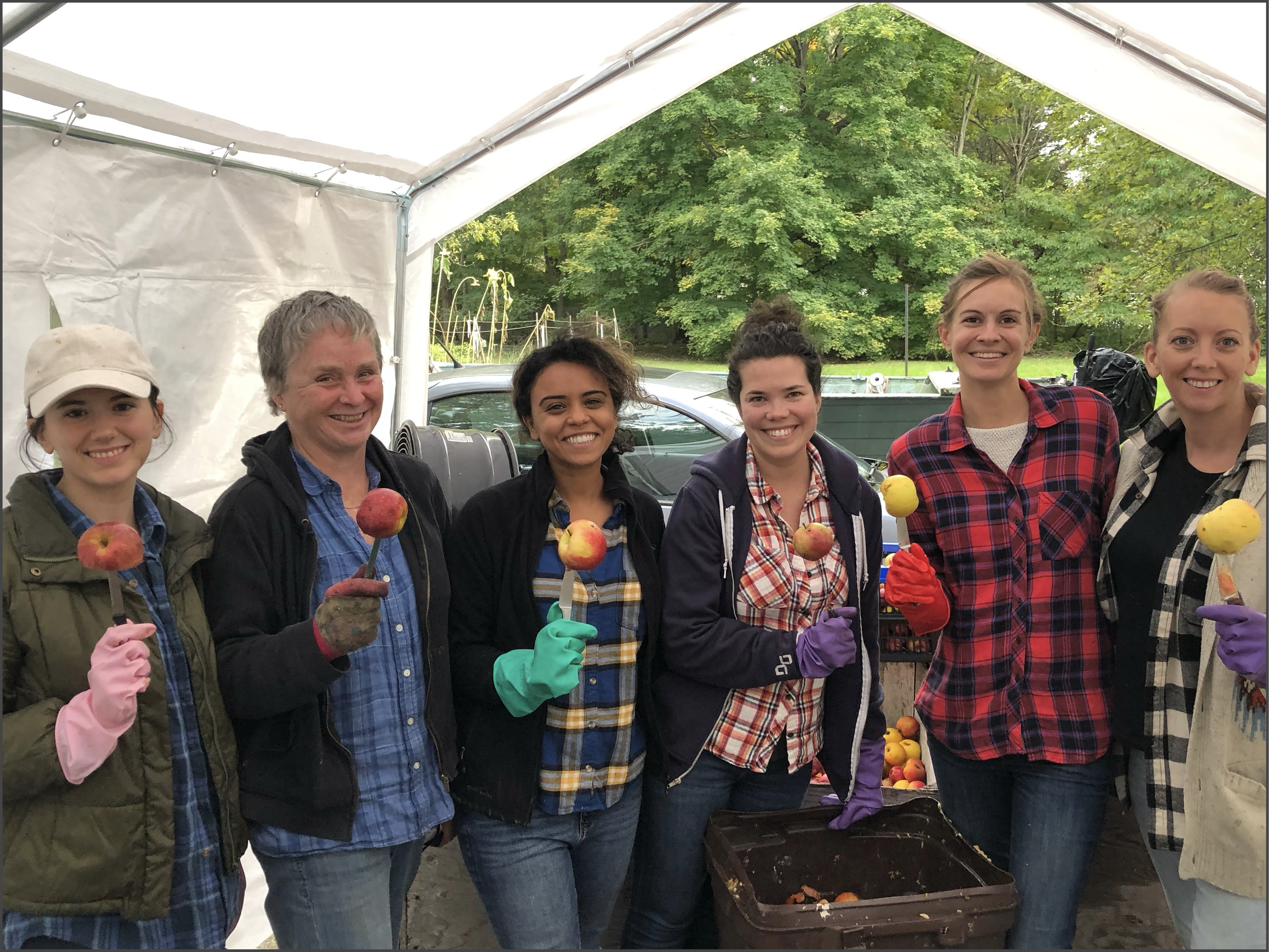 Crush: The Most Exciting Time in Cider Making