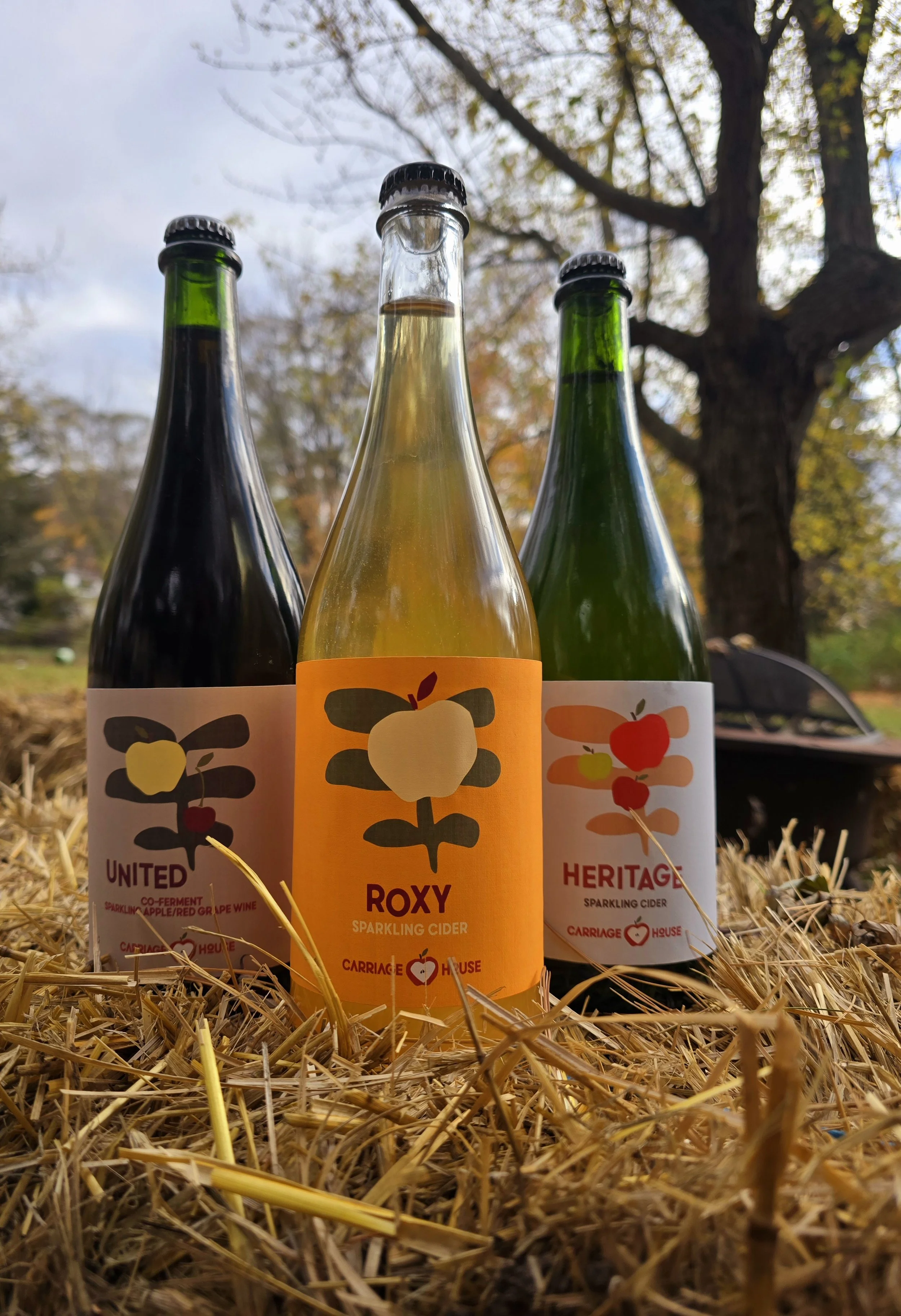 Why Cider Appeals to Wine Drinkers