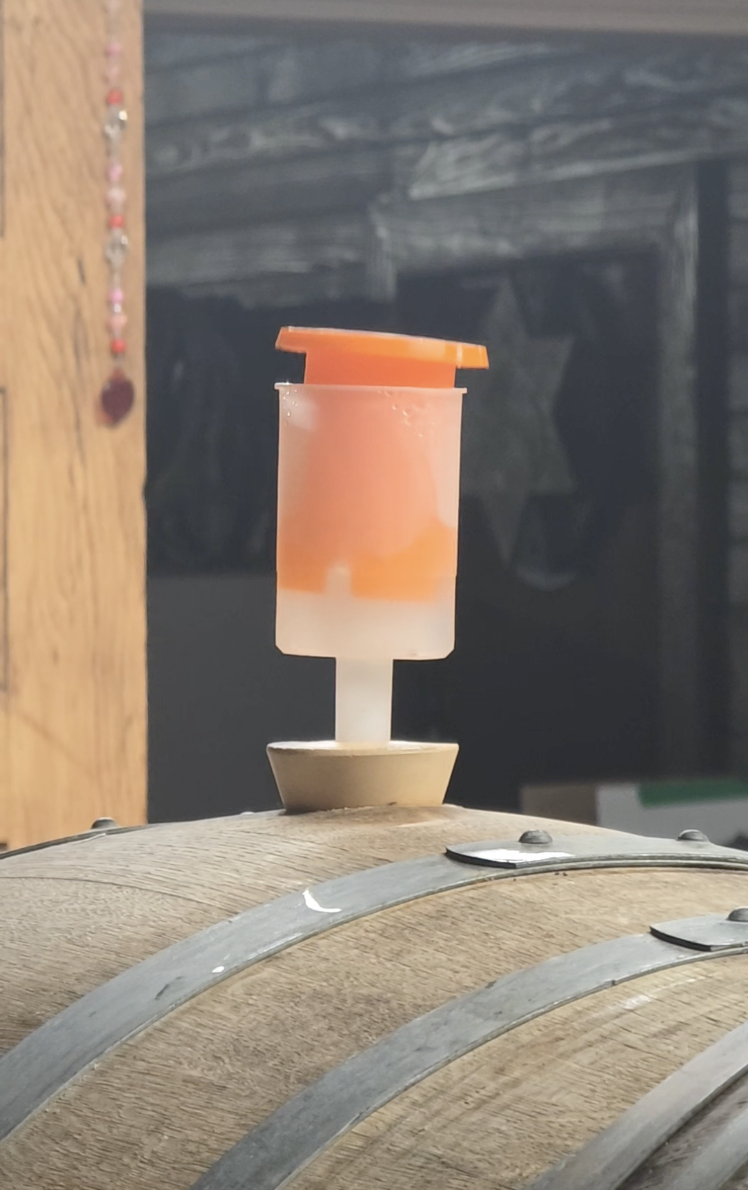 How Natural Cider Fermentation Shapes Flavor