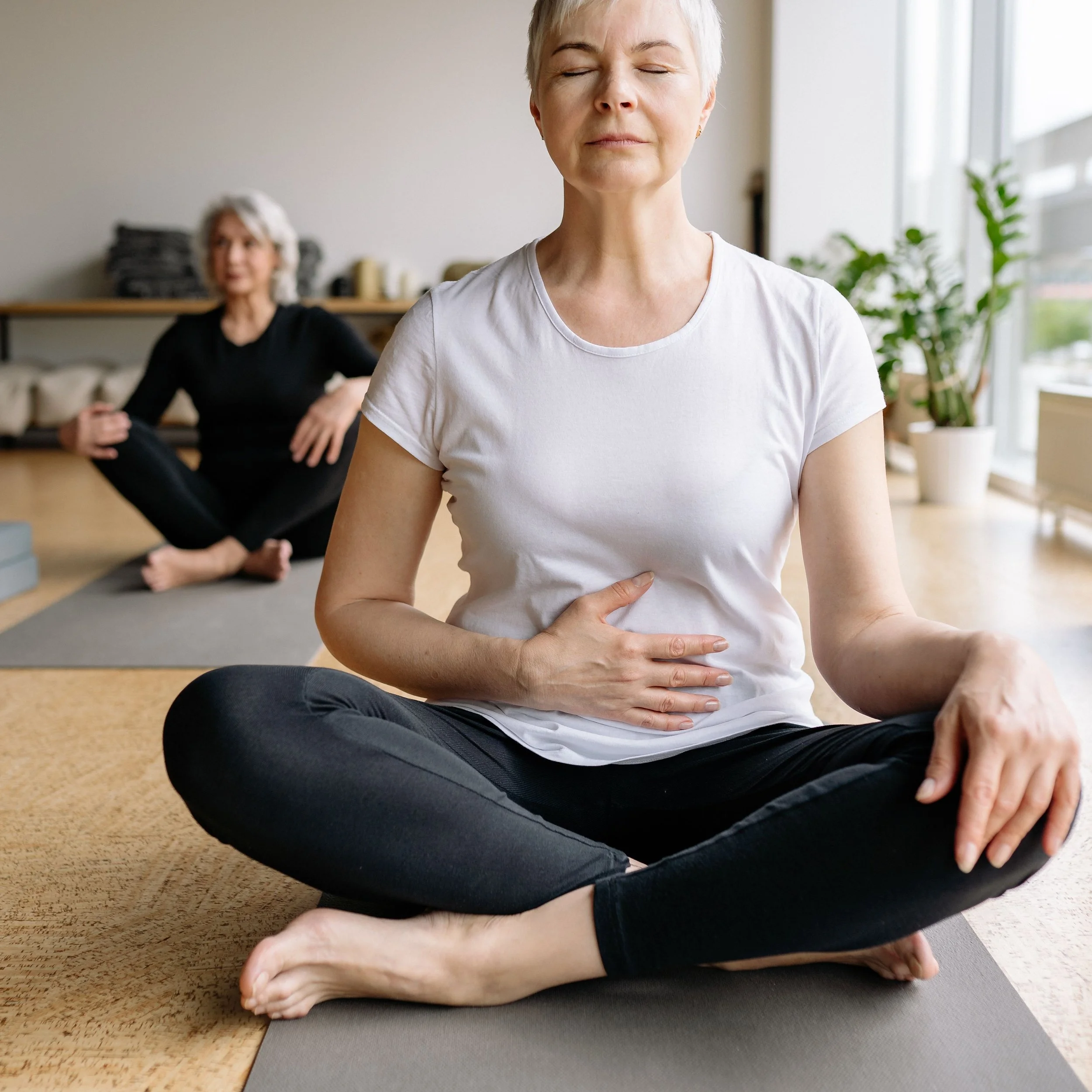 The  Estrogen-Gut  Connection:  Supporting  Digestion  in  Menopause