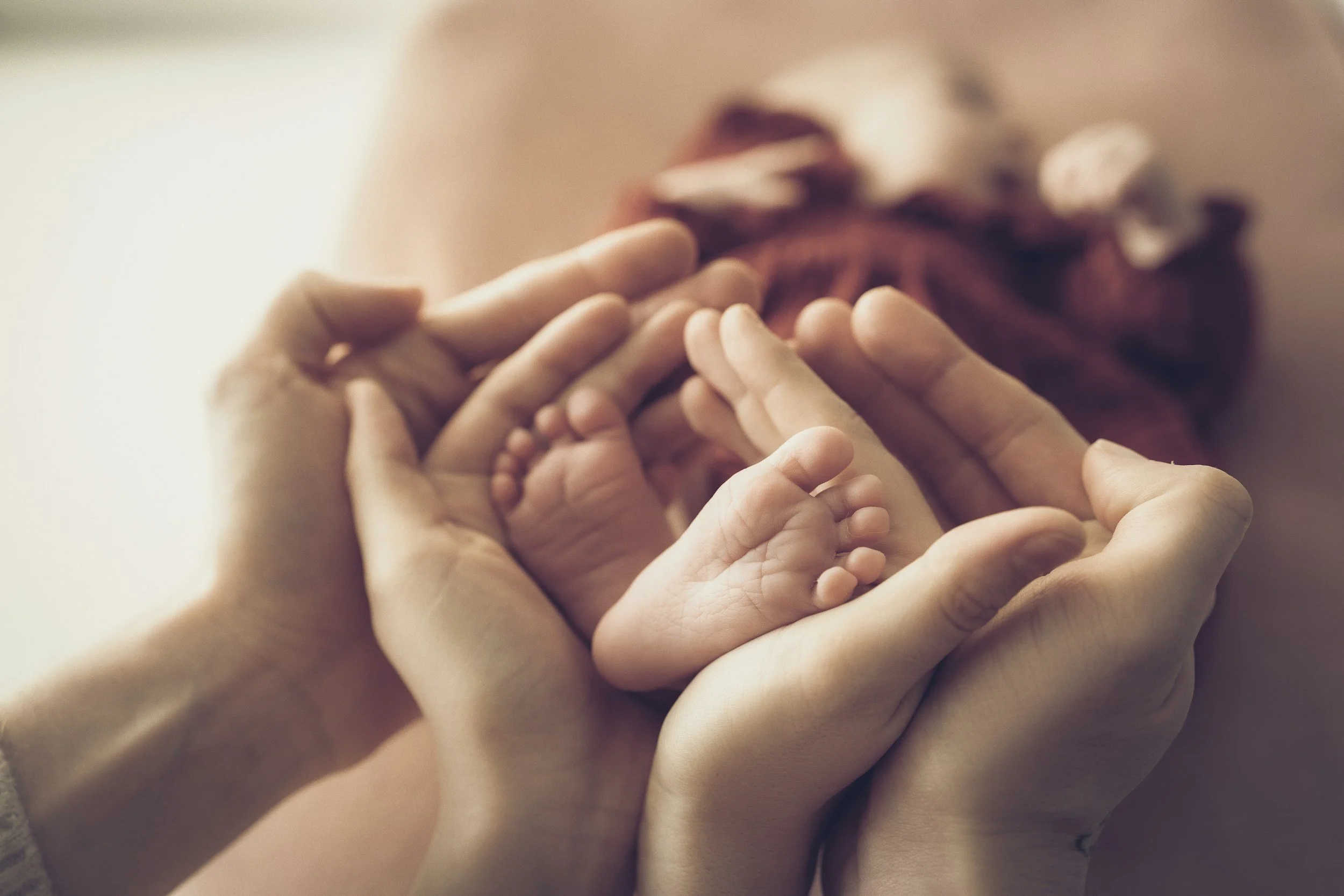 Hands holding a tiny baby hand and an adult hand in a gentle gesture.