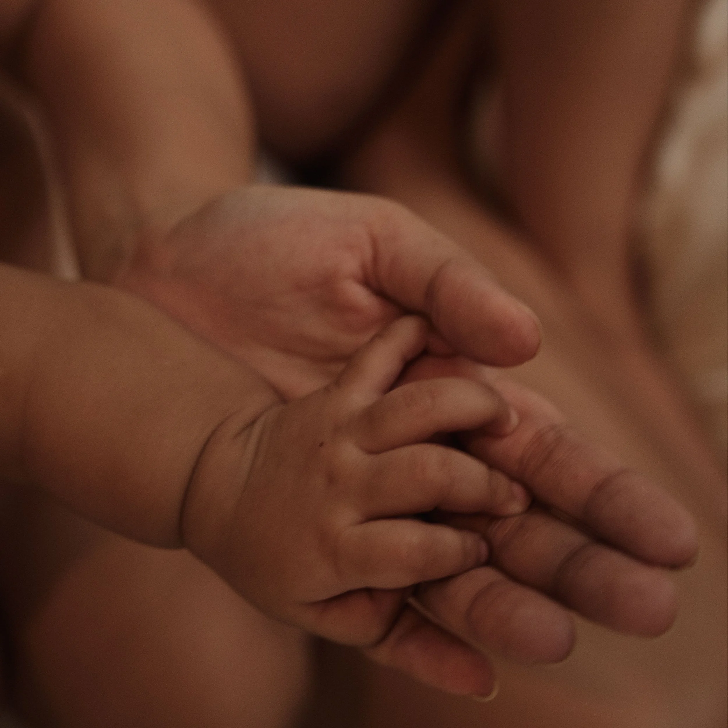 Breastfeeding  and  Baby’s  Gut  Health:  How  Breast  Milk  Supports  the  Developing  Microbiome