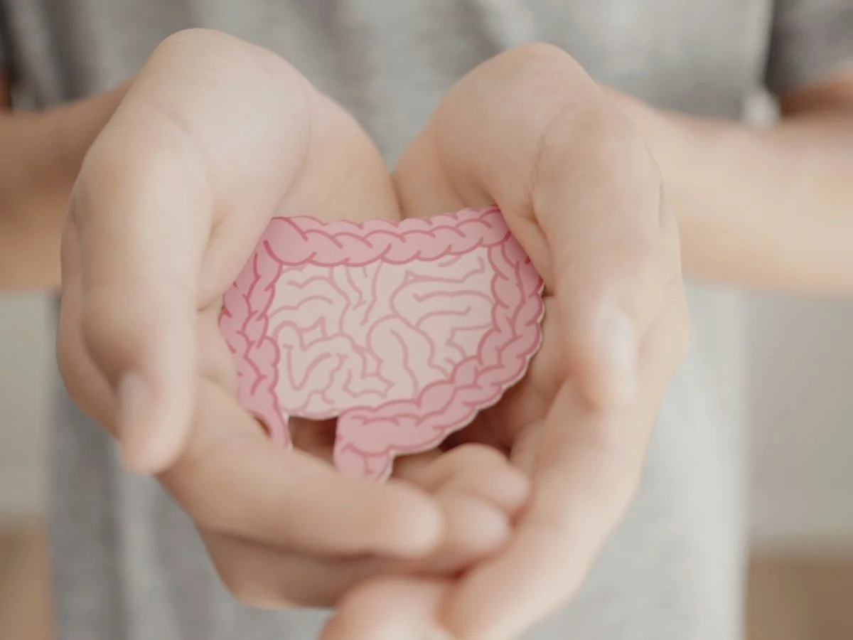 Person holding a pink paper cutout of the human intestines.