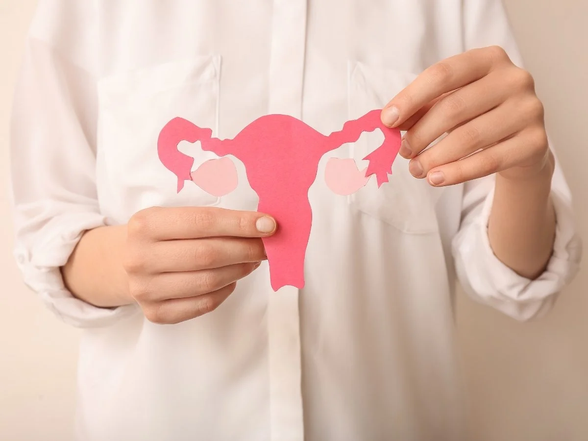 Person holding a pink paper cutout of a female reproductive system