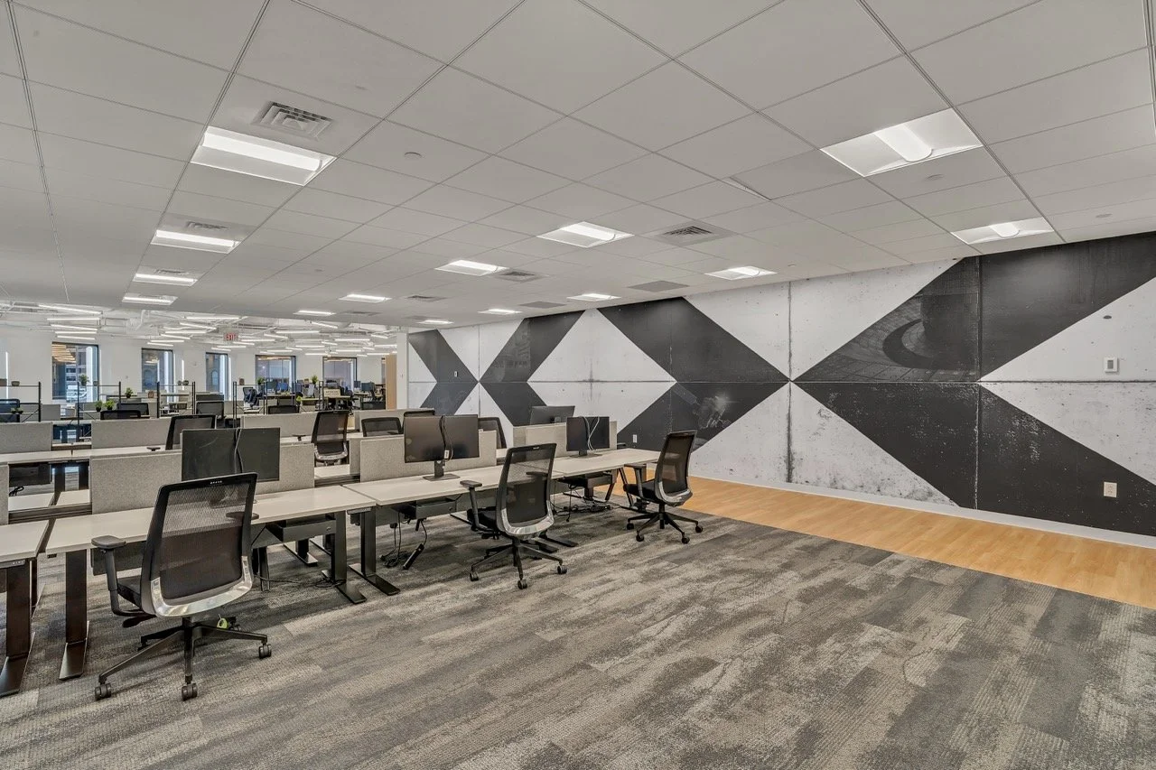 DSC08073-2  Large.jpeg