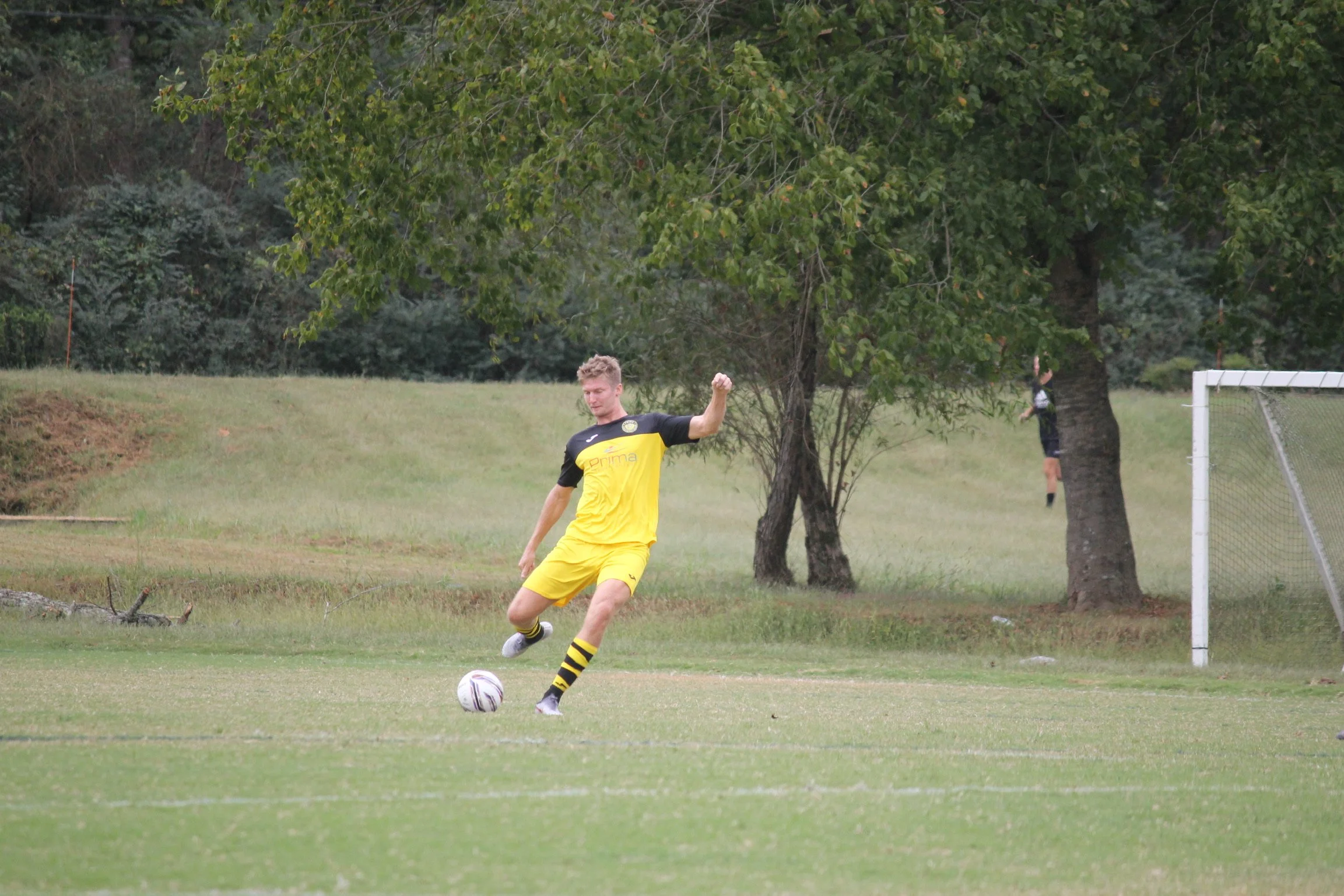A young man in a yellow soccer uniform kicks a soccer ball on a grassy field, with trees and a goalpost in the background.
