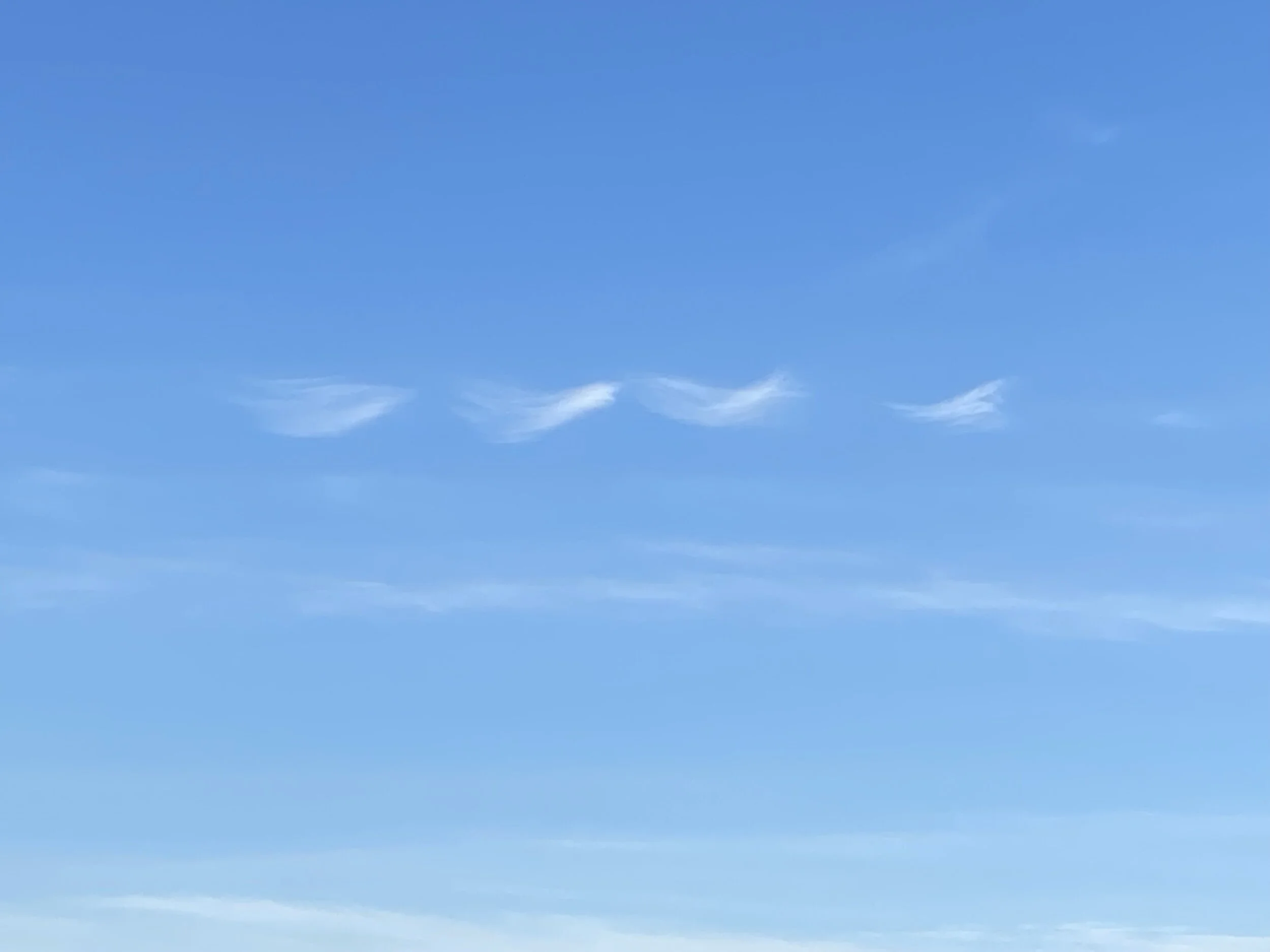 Calm in the Storm - Simple Practices to Get There