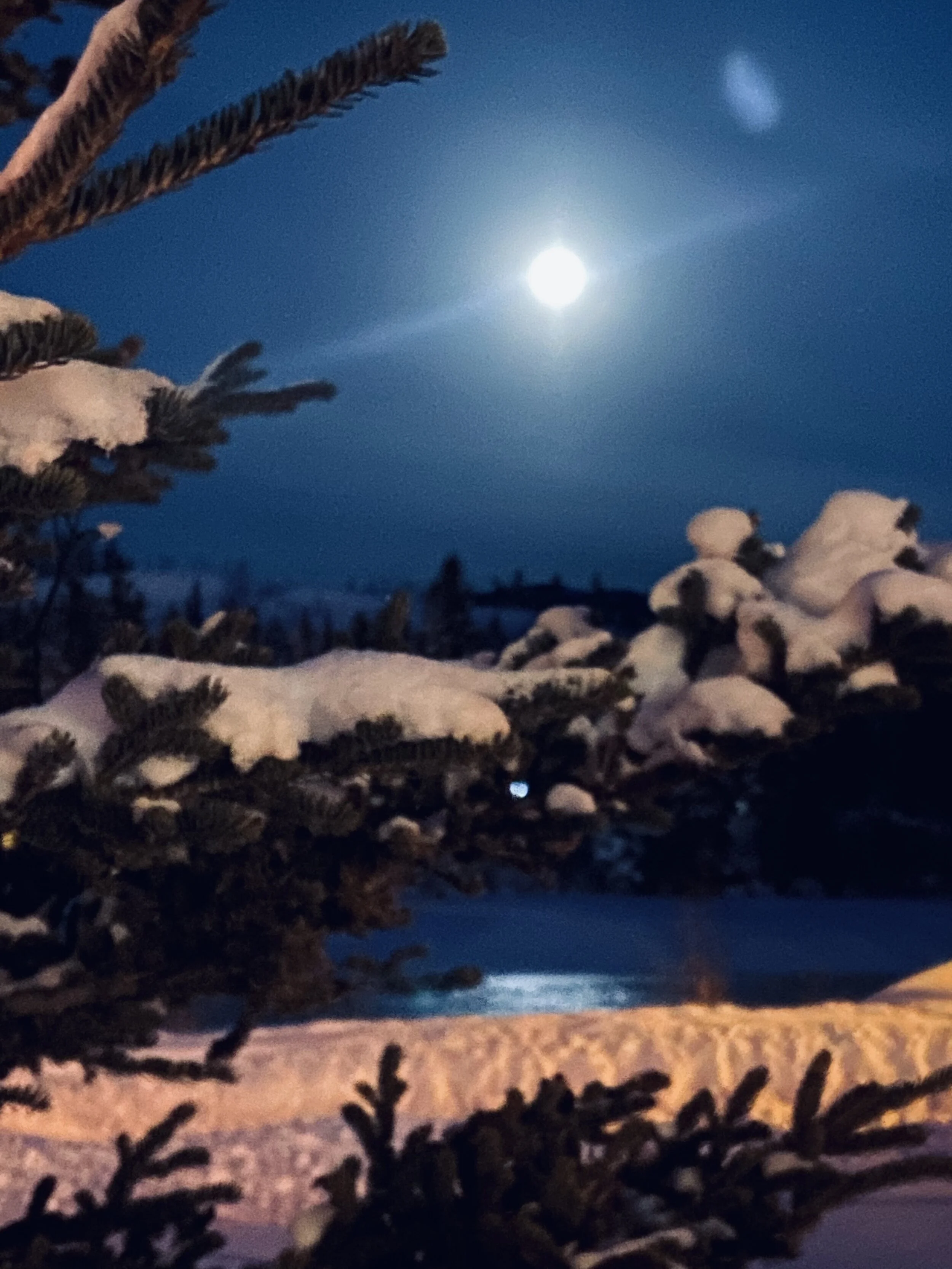Full Moon Over Caribou (or - Why I Live in The Yukon)