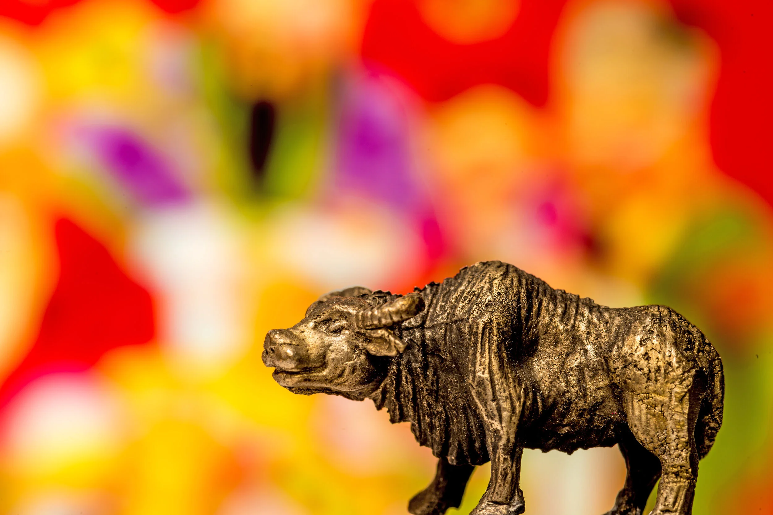 Happy Year of the Golden Ox!