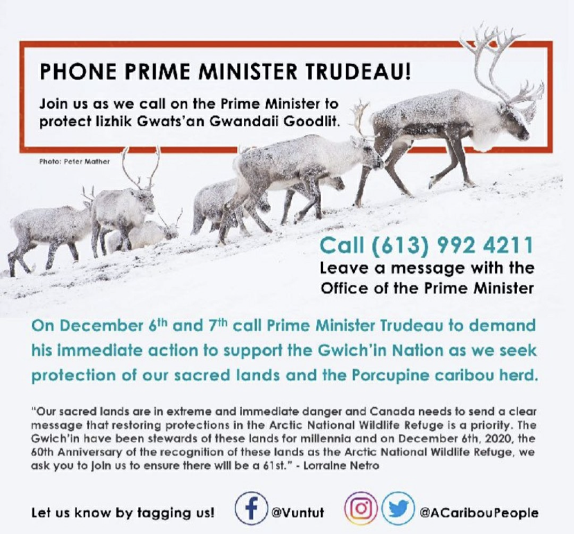 Make a call for caribou!