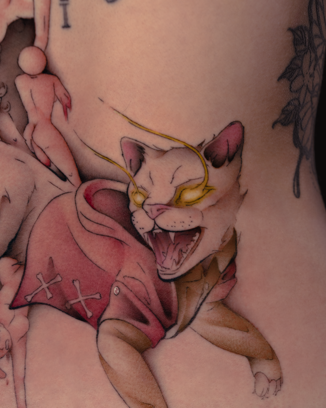 propercat.png