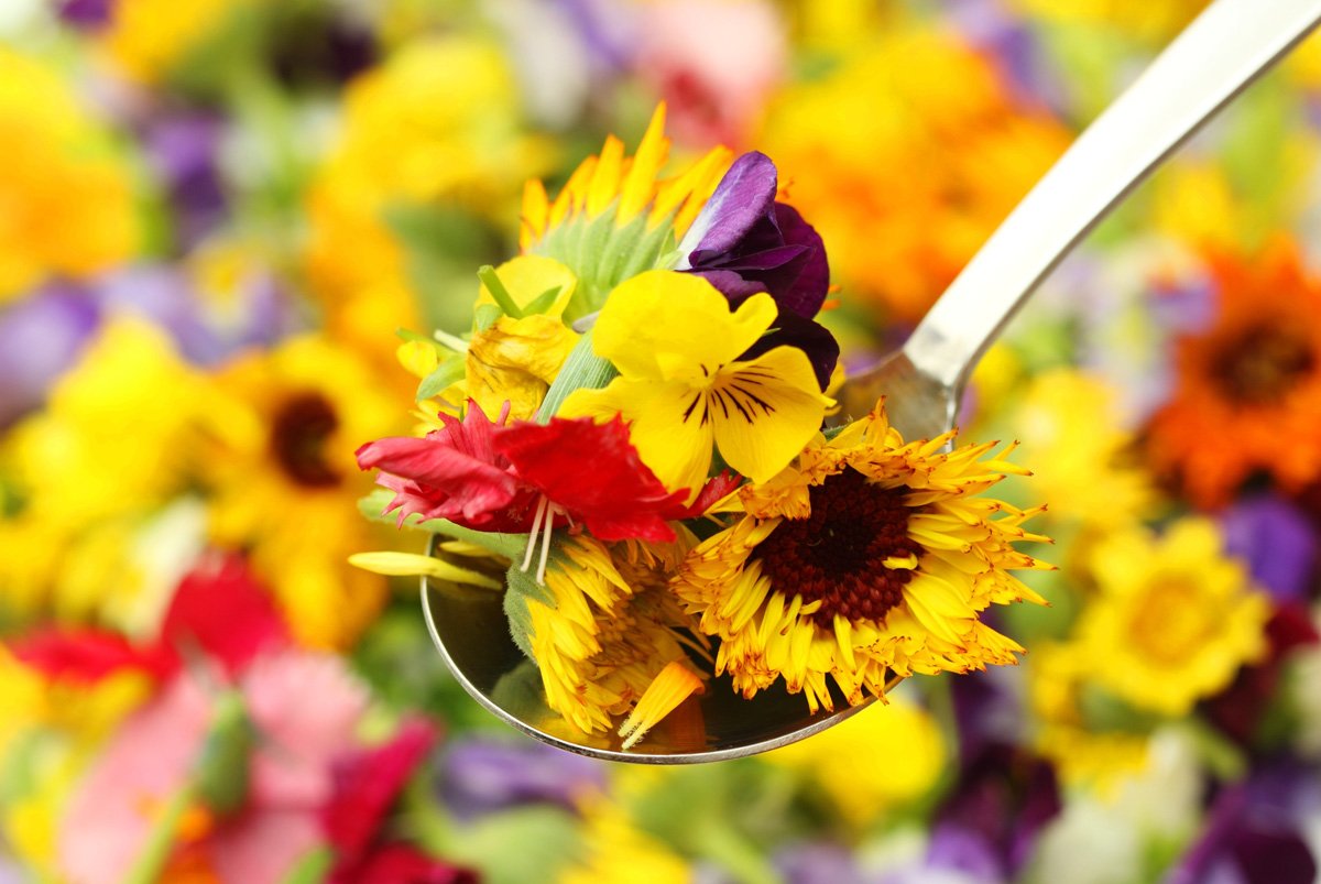 Edible-Flowers.jpg