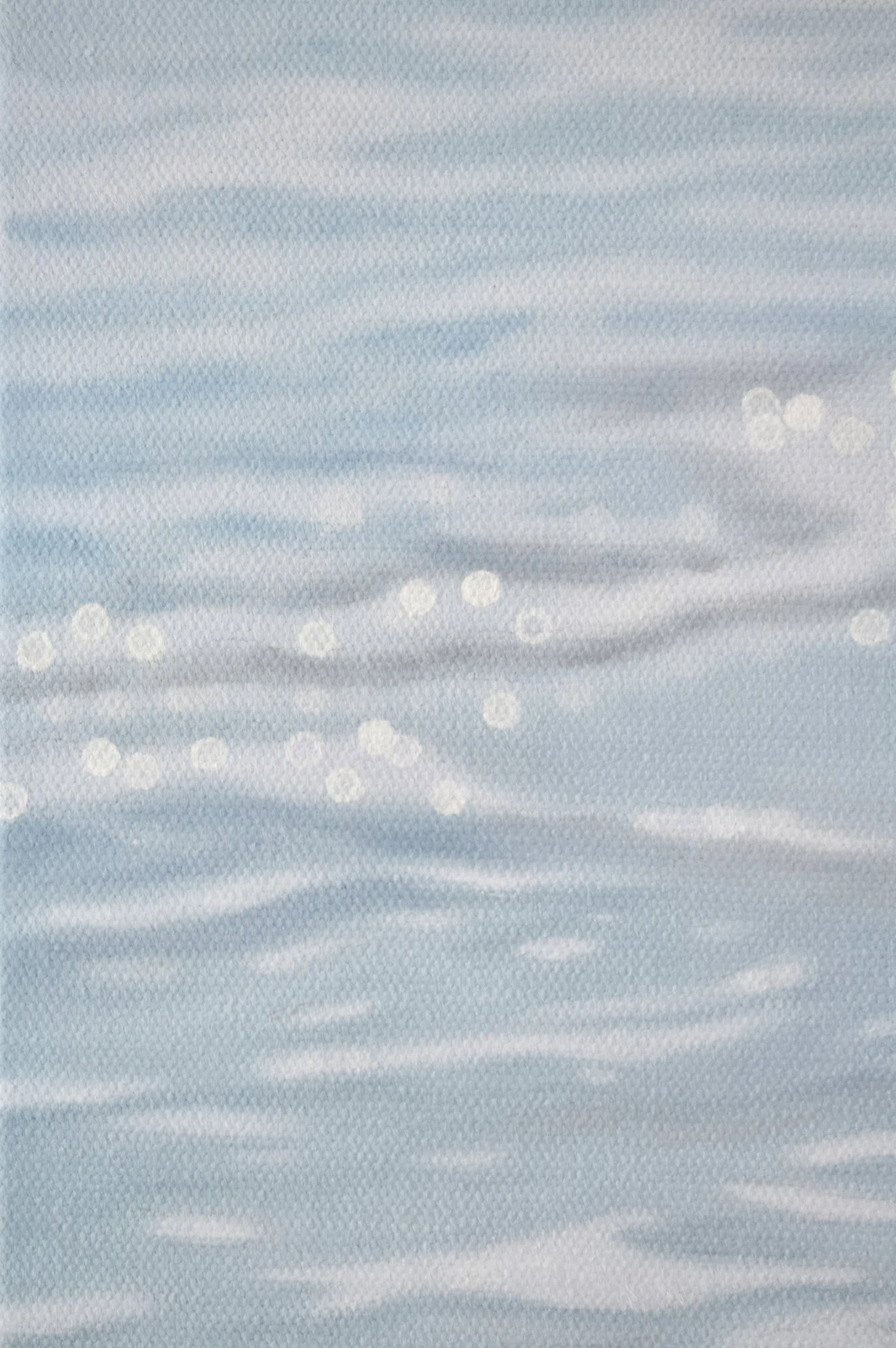 Solo Sanderling Details-1.jpg