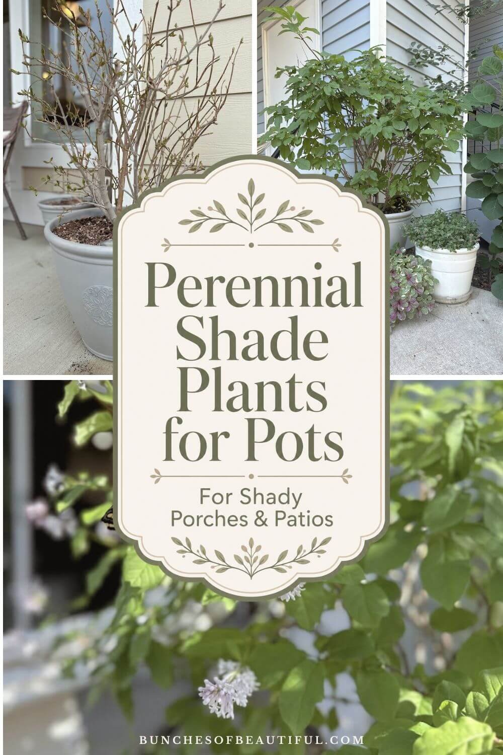 Collage of perennial shade plants growing in pots on a shaded porch with text reading “Perennial Shade Plants for Pots” and “For Shady Porches and Patios.”