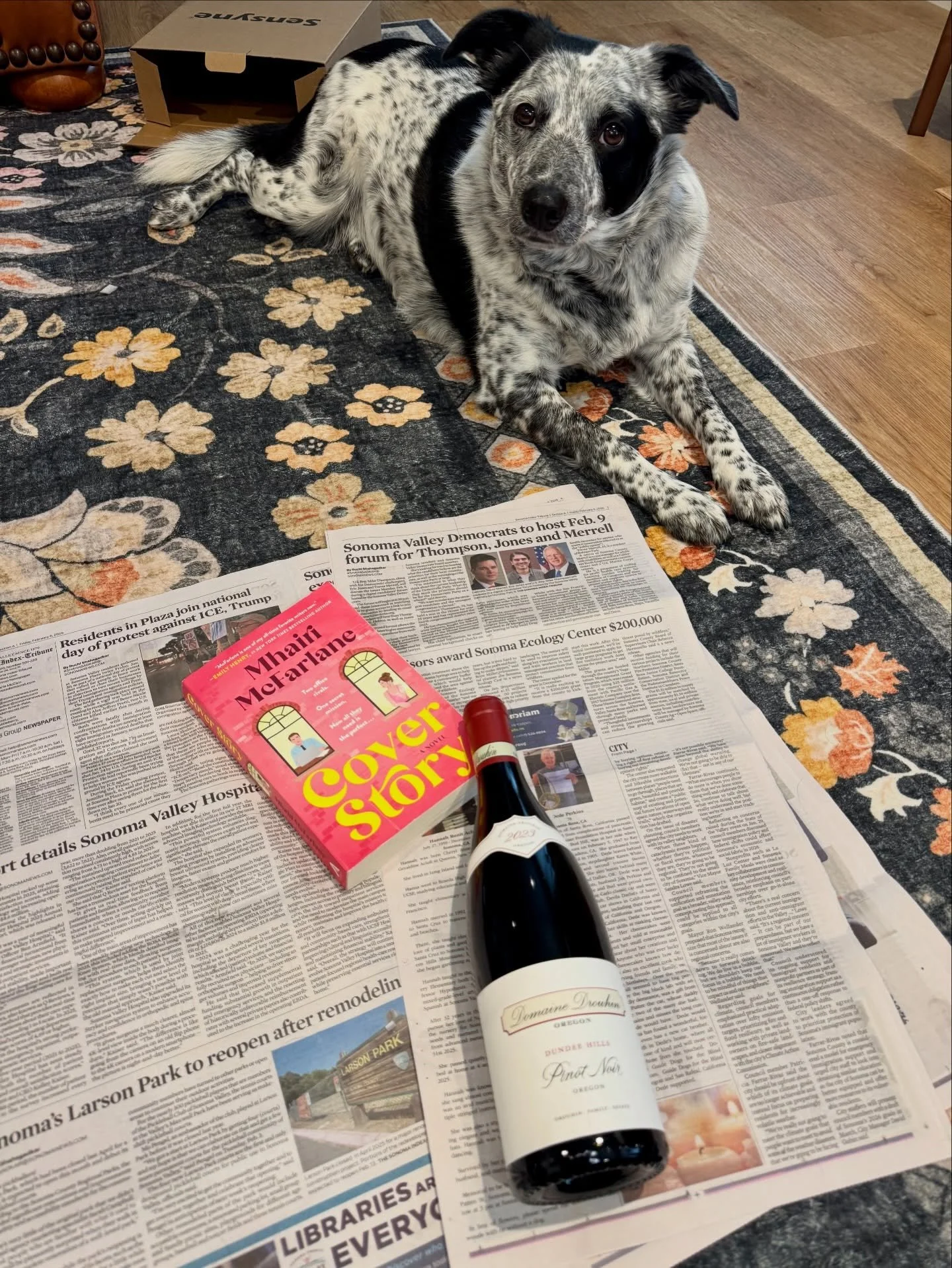 When you try to announce this month&rsquo;s book pick&hellip; and the dogs insist on being involved. 🐾📚

Honestly? Wouldn&rsquo;t have it any other way.

February&rsquo;s pairing is Cover Story + Pinot Noir &mdash; and yes, I splurged on a slightly