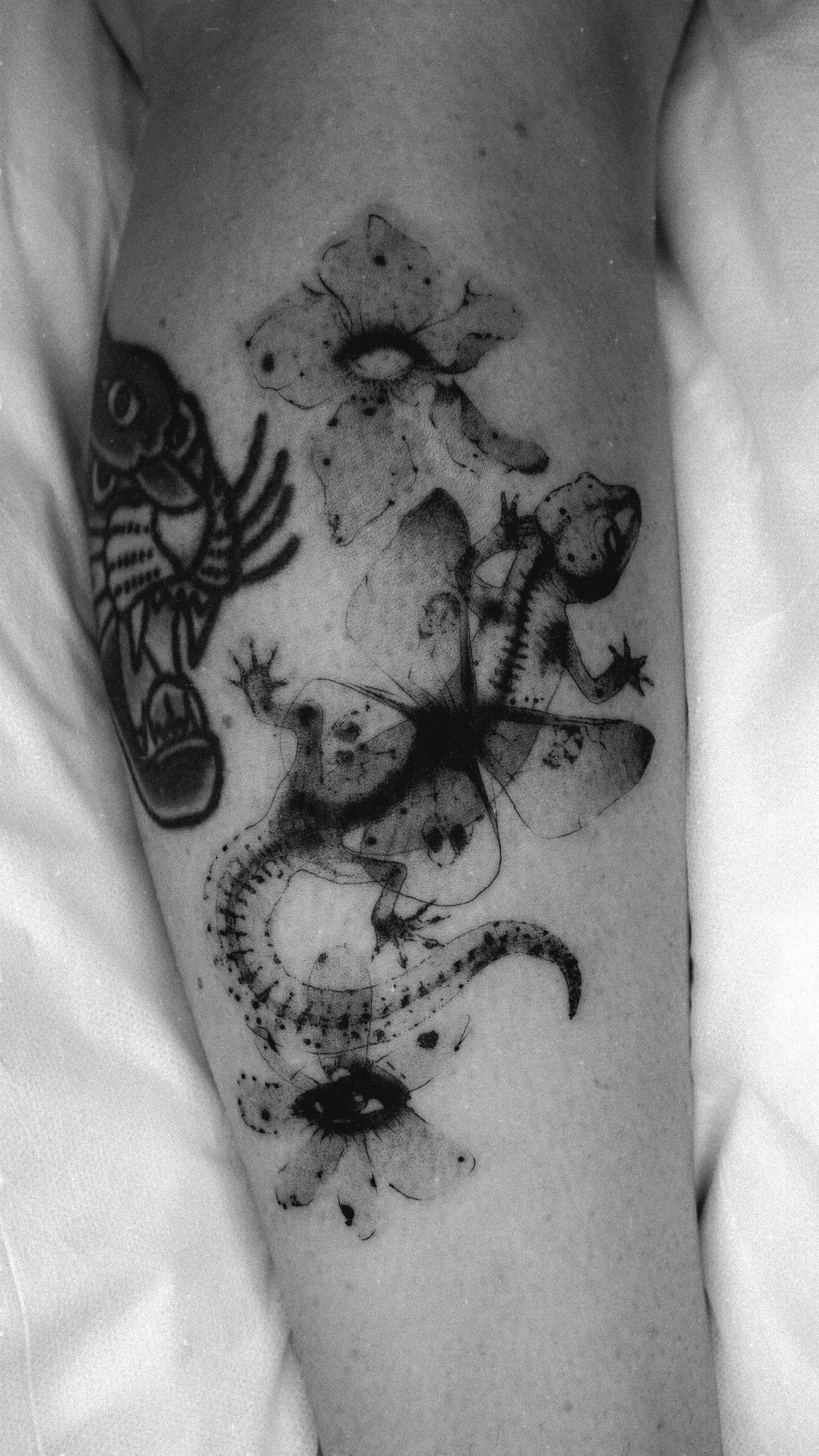 ED6876D3-E38A-47F6-86ED-3CF0AB66734B 2.JPG