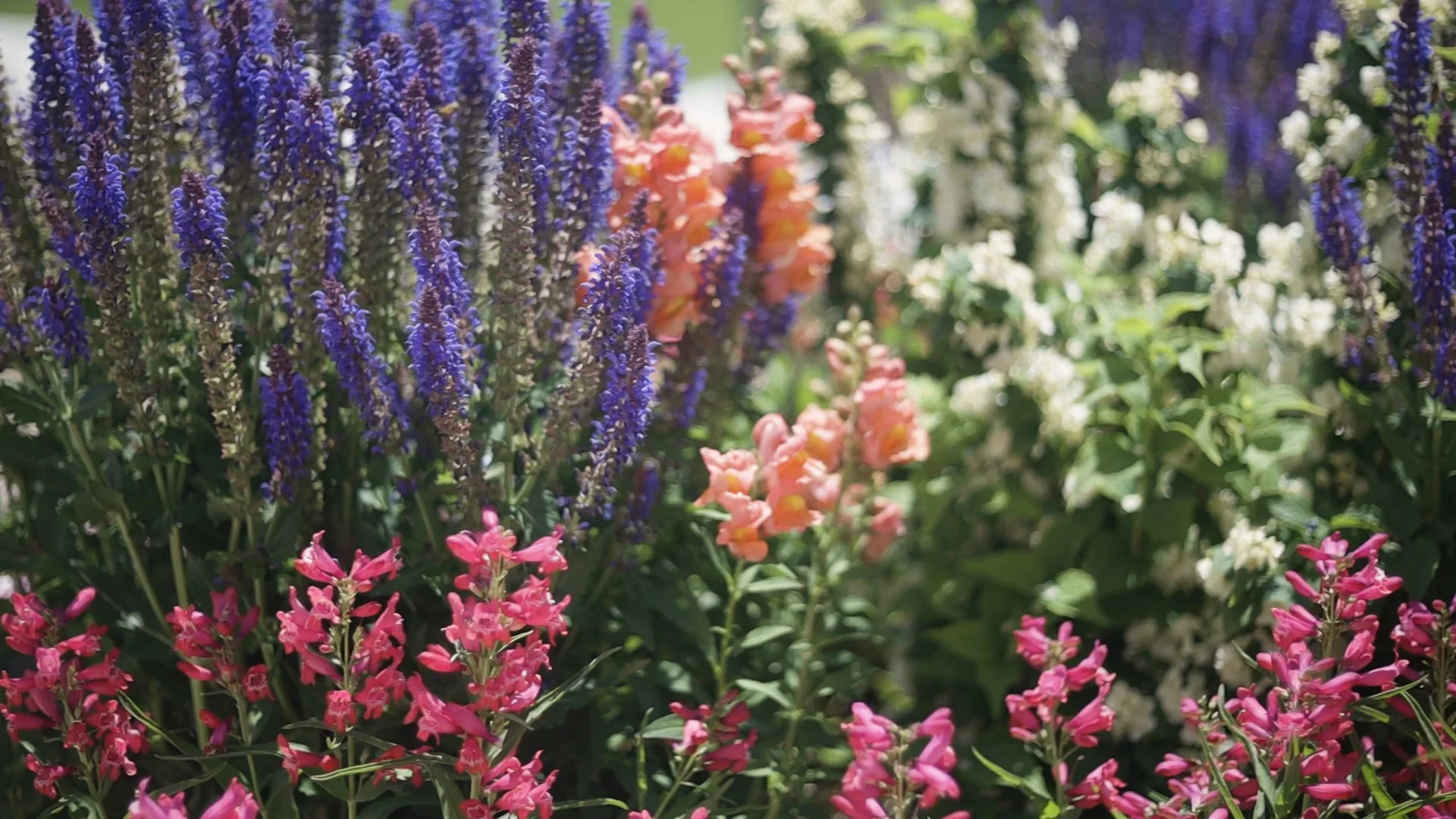 Energy Maintenance for Moms: How to Stay Consistent, Present, and Peaceful at Home