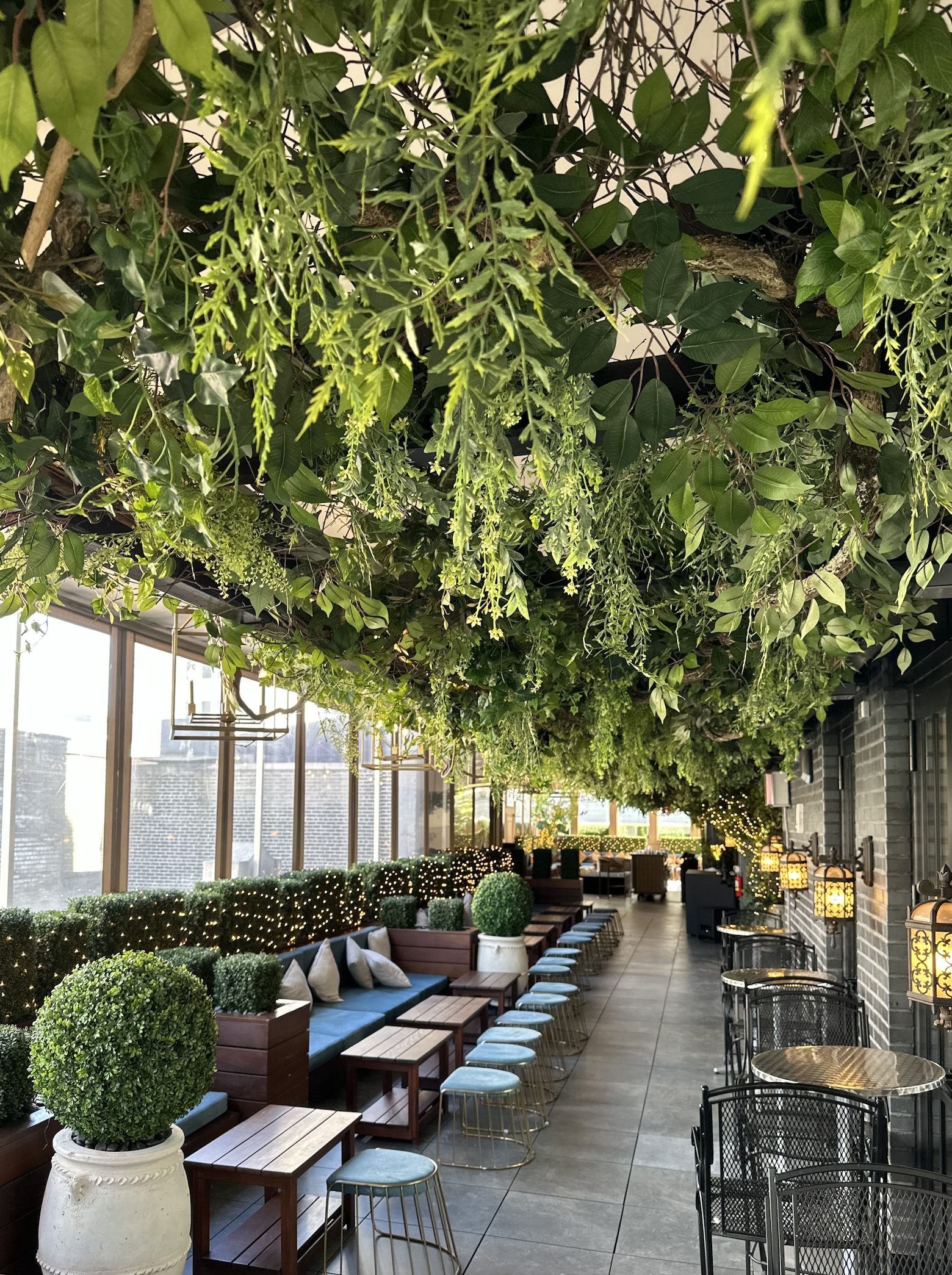 Indoor lounge area with hanging green plants on the ceiling, potted shrubs, and string lights along the back wall, with seating including a sofa, small tables, and metal chairs.