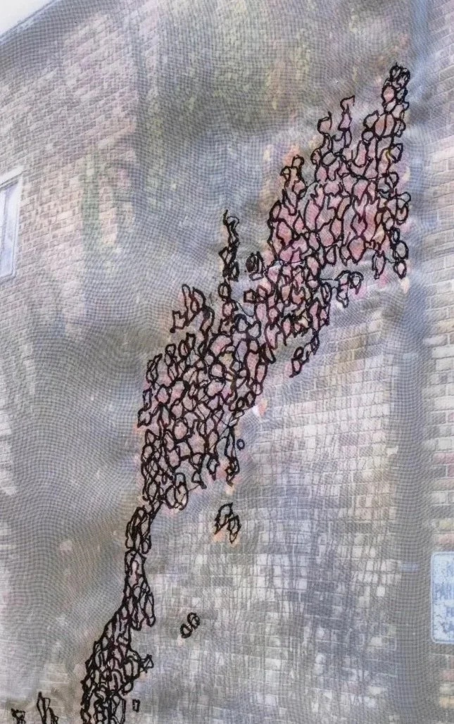 A Study of Noticing