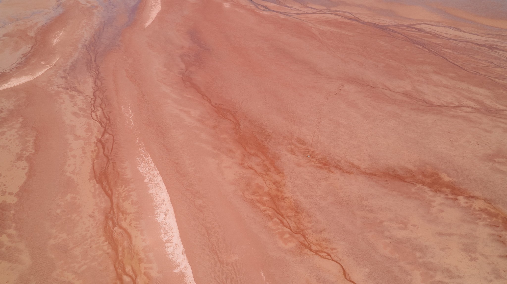Blomidon Mars V2