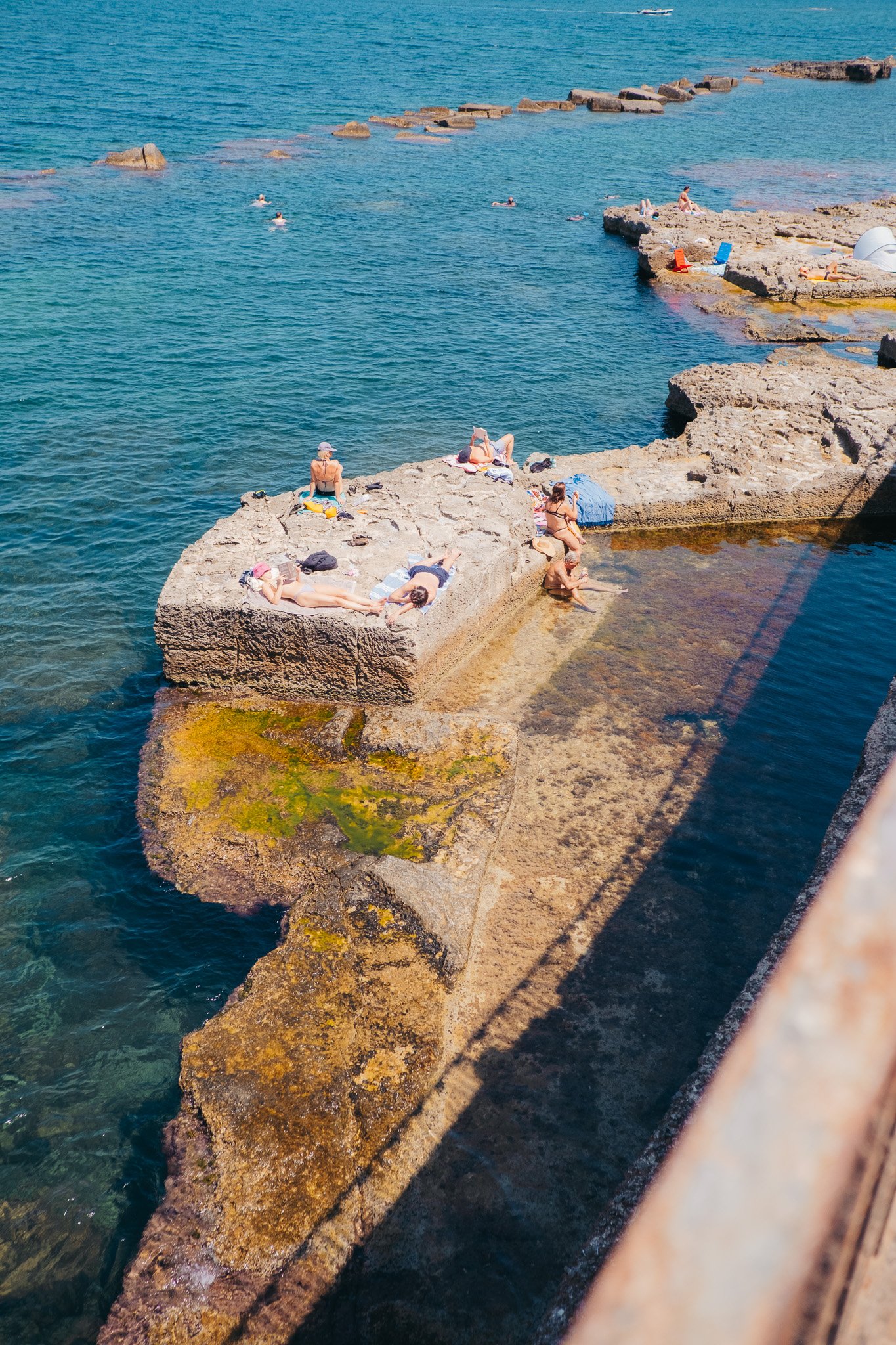 Sunbathing on a rock