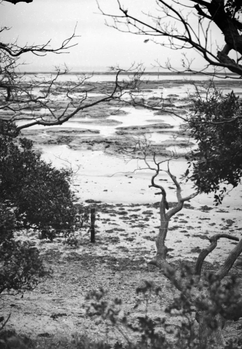 Black and white film photo shot on Ilford XP1 400 35 film that expired in 1999