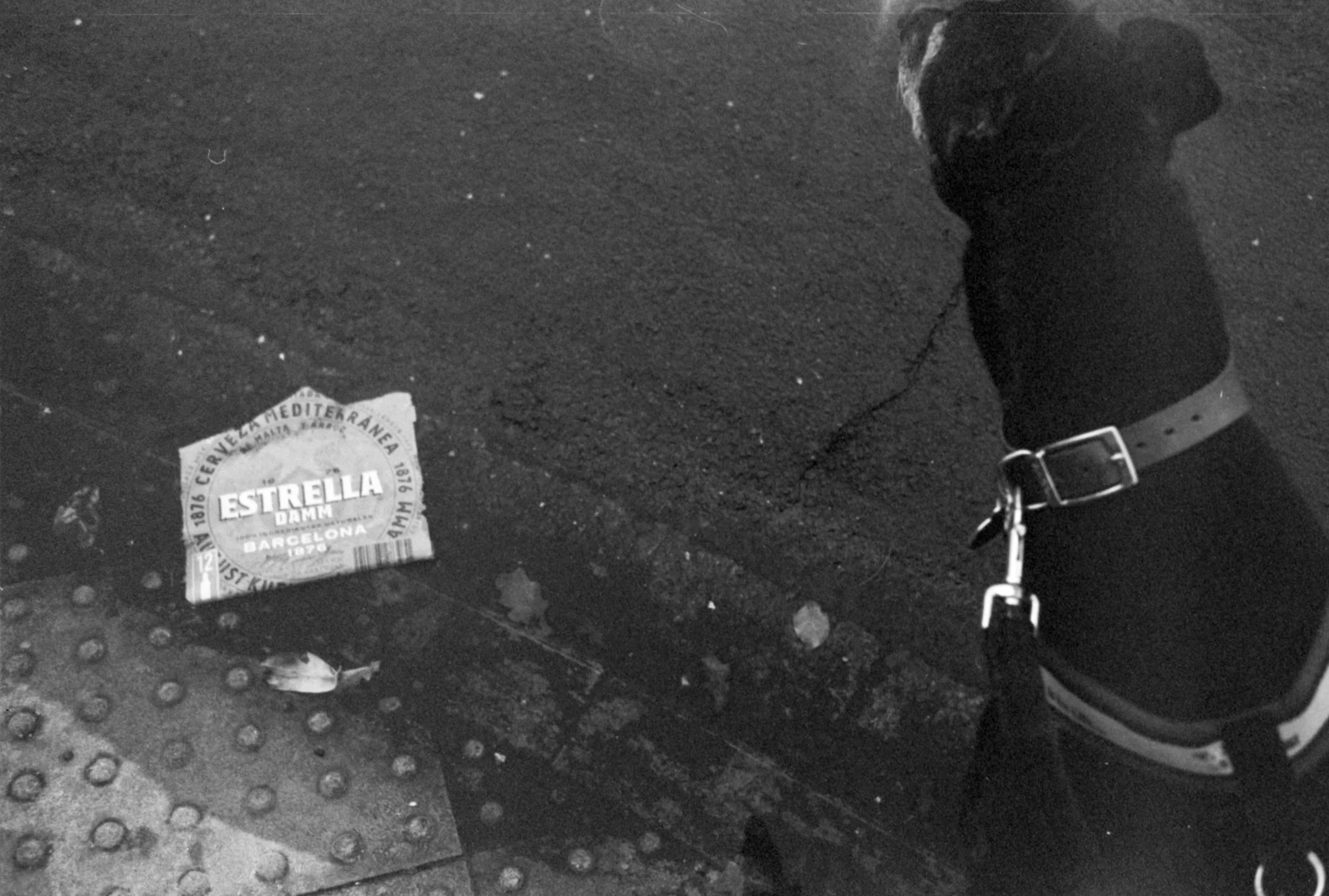 Black &amp; white film photo shot on Rollei Retro 400S 35mm film