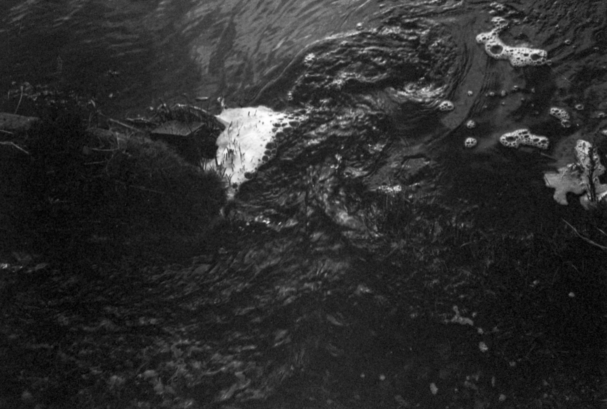 Black & white film photo shot on Rollei Retro 400S 35mm film