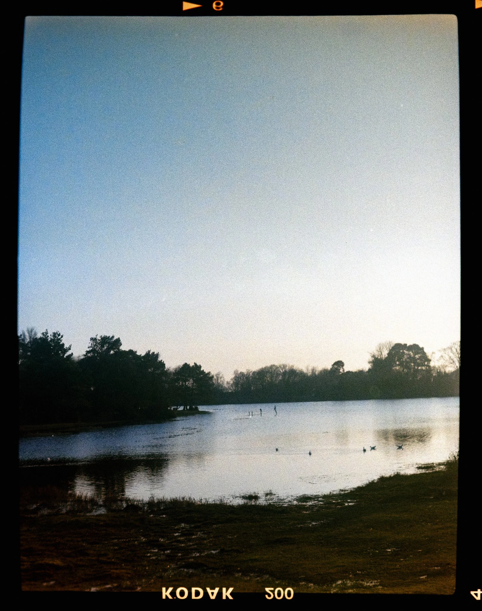 IMGP0842.jpg