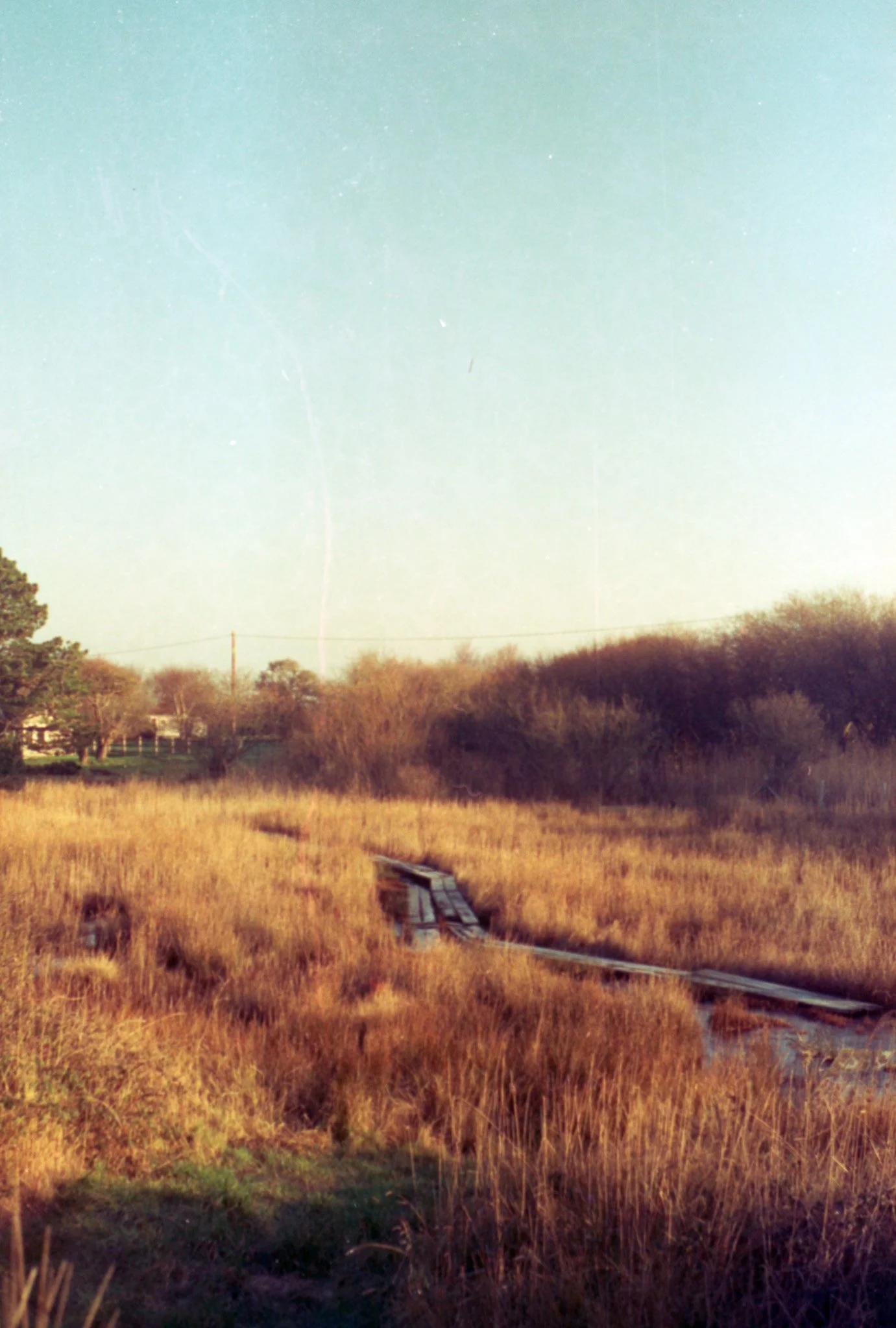 Slide Scan (145).jpg