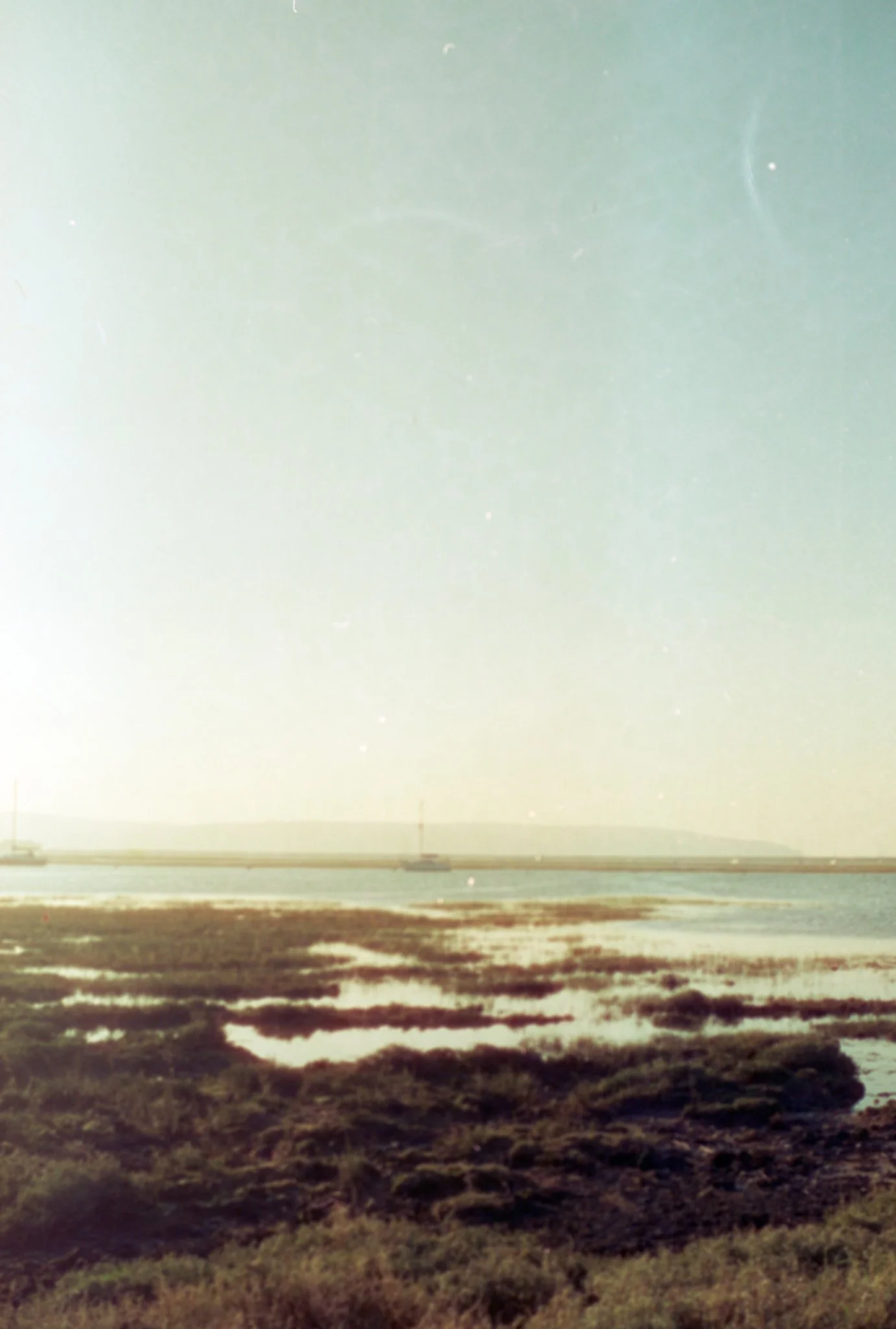 Slide Scan (131).jpg