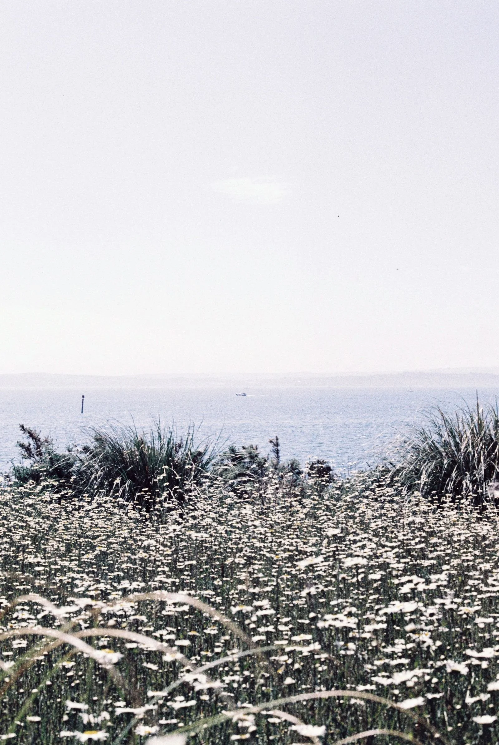 annie-spratt-pxUEJxtP4m4-unsplash-2-2.jpg