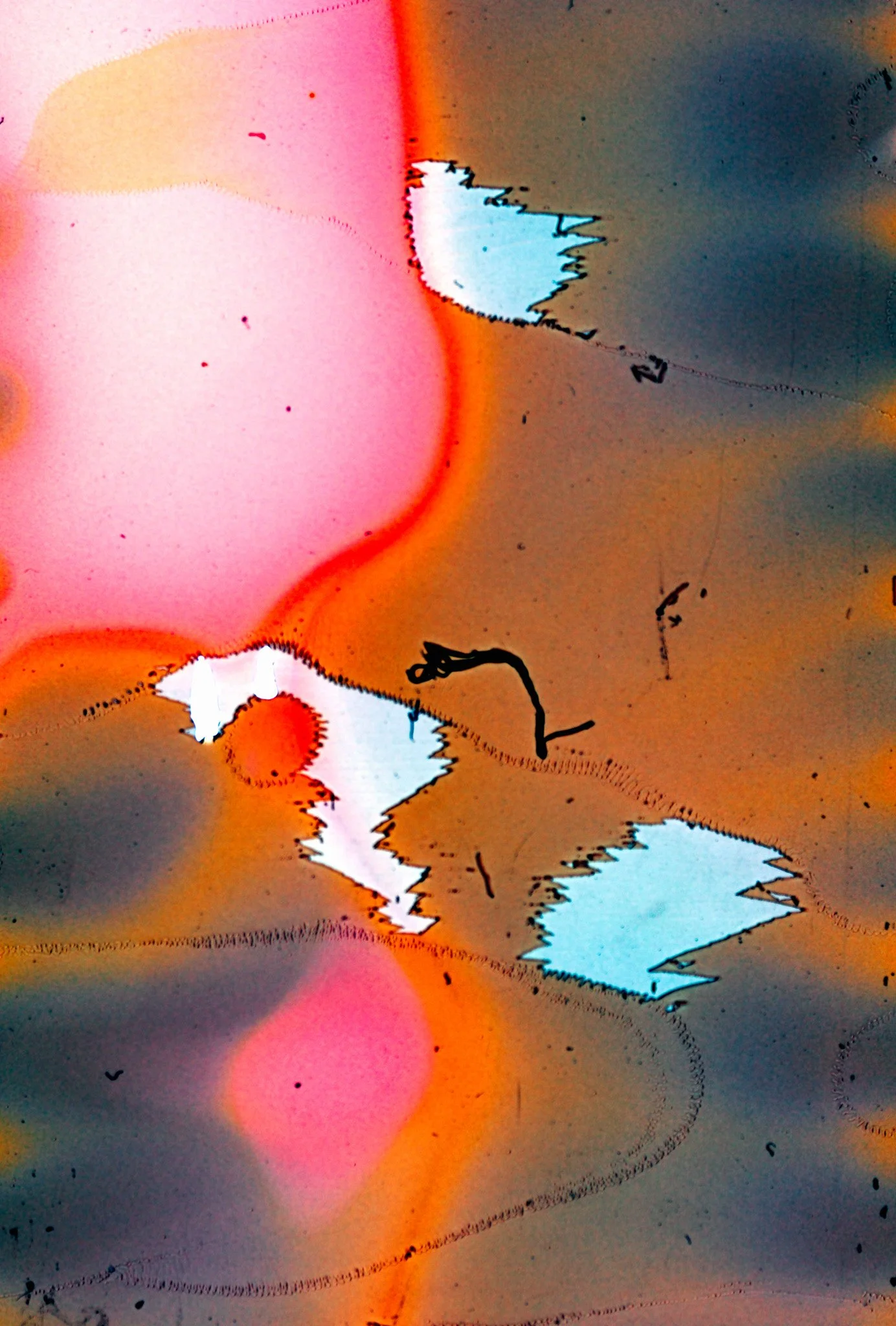 Slide Scan (17).jpg