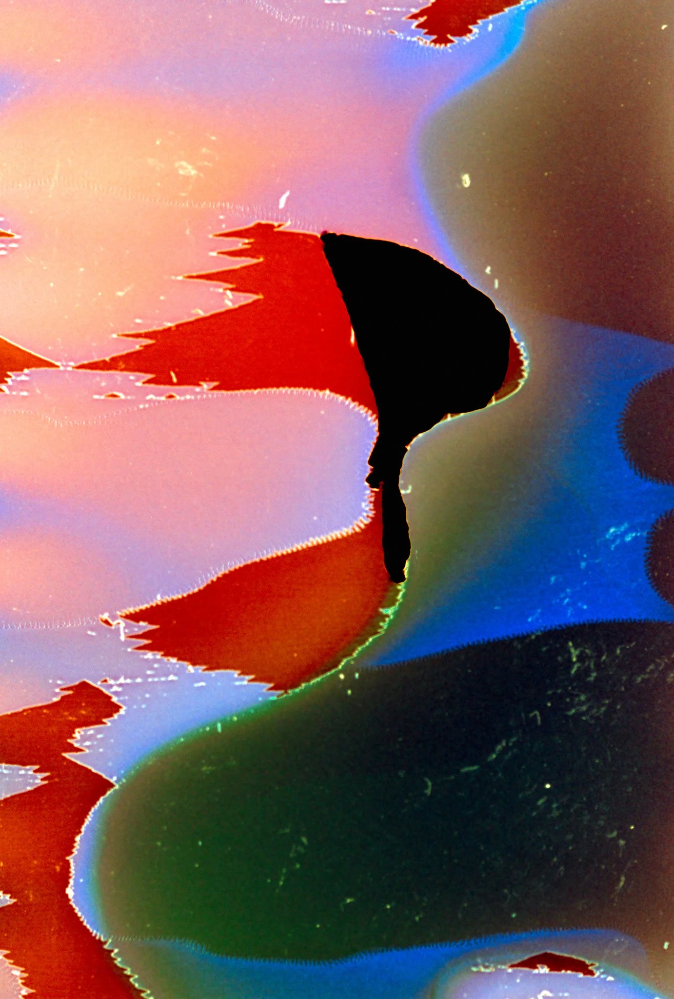 Slide Scan.jpg