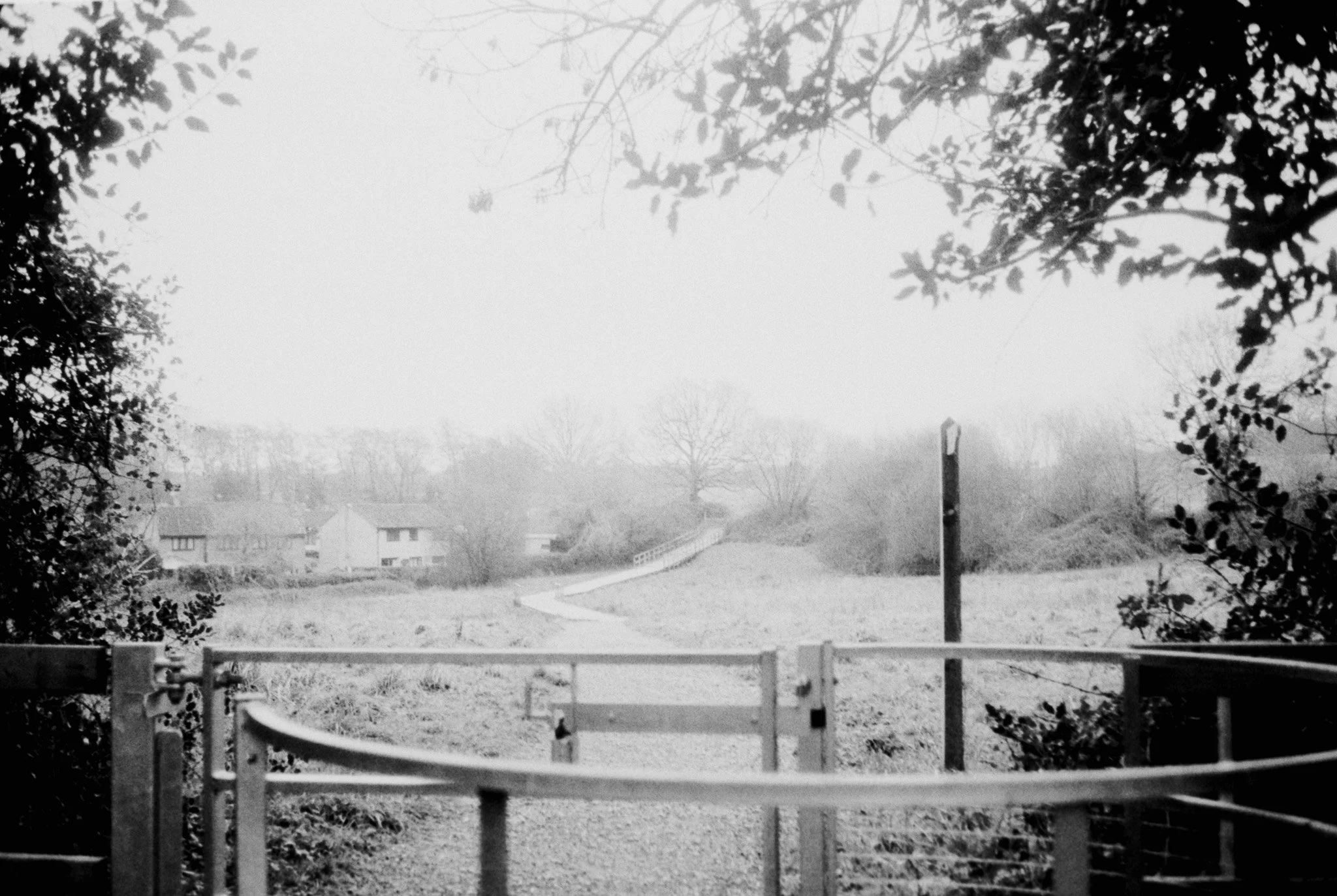 Slide Scan (221).jpg