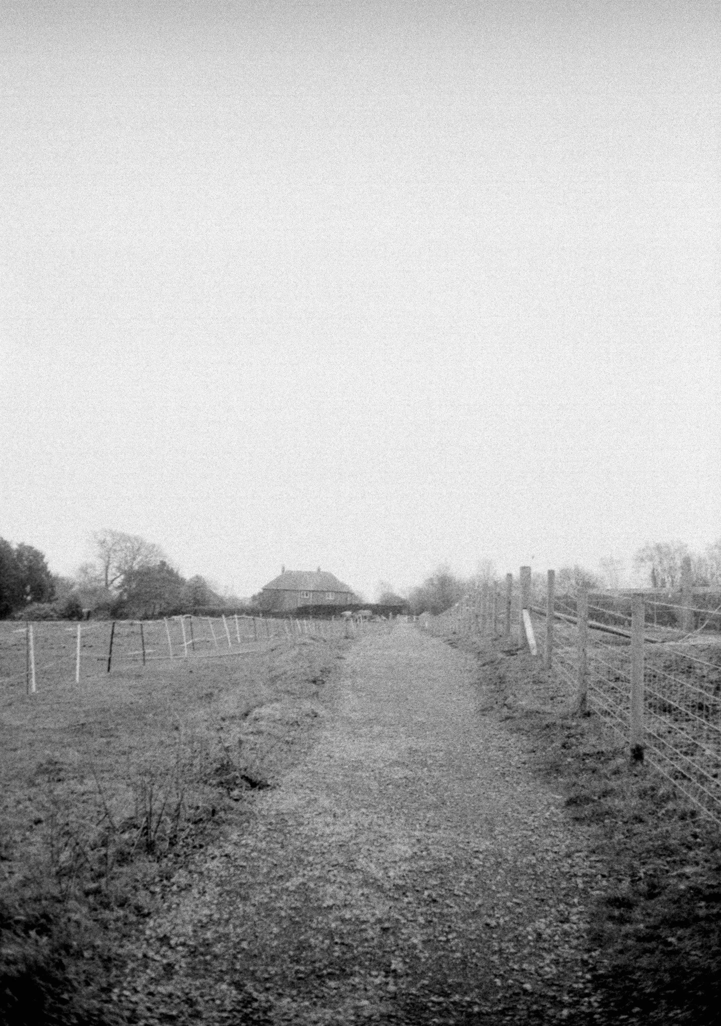 Slide Scan (234).jpg